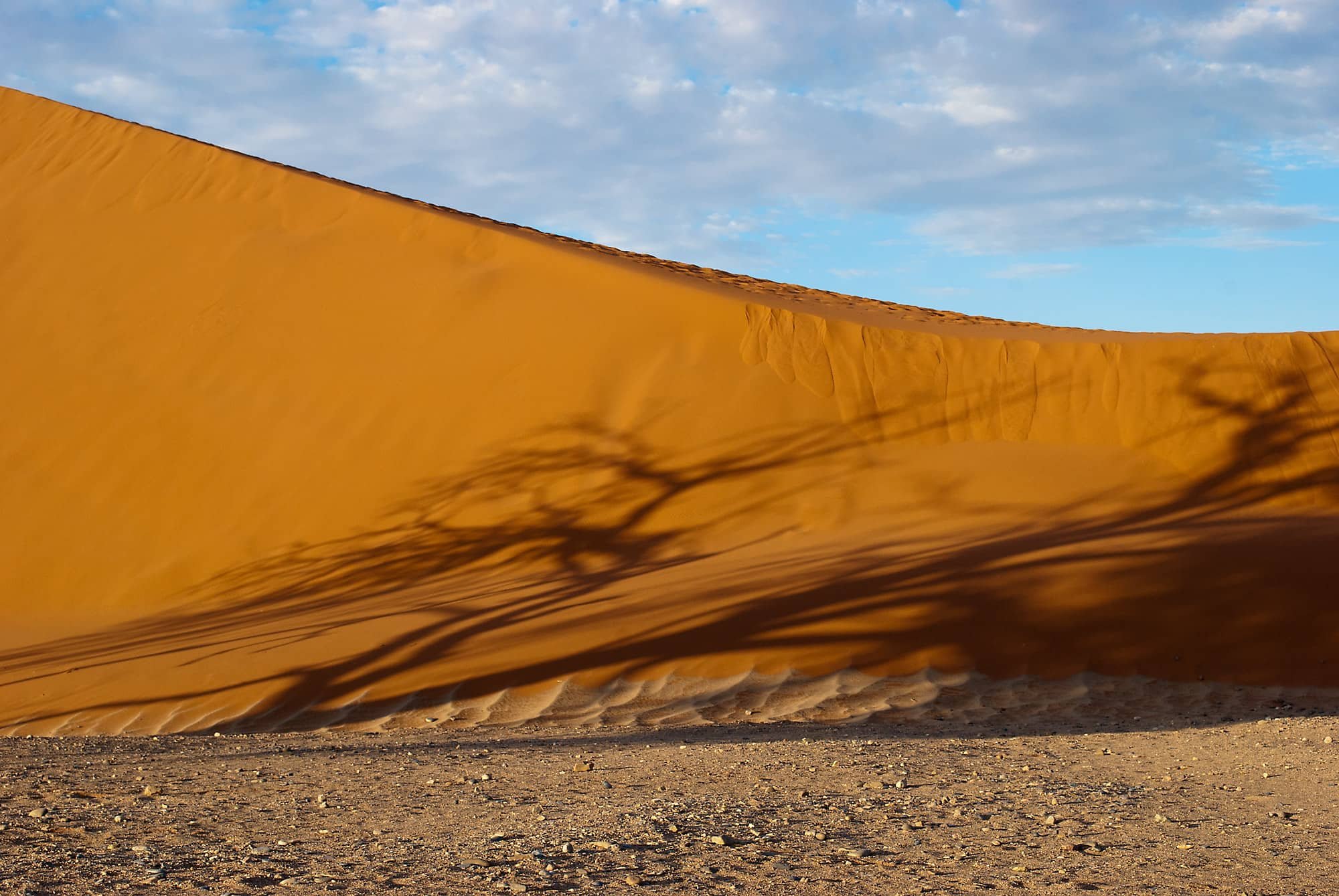 Deadvlei_6197.jpg