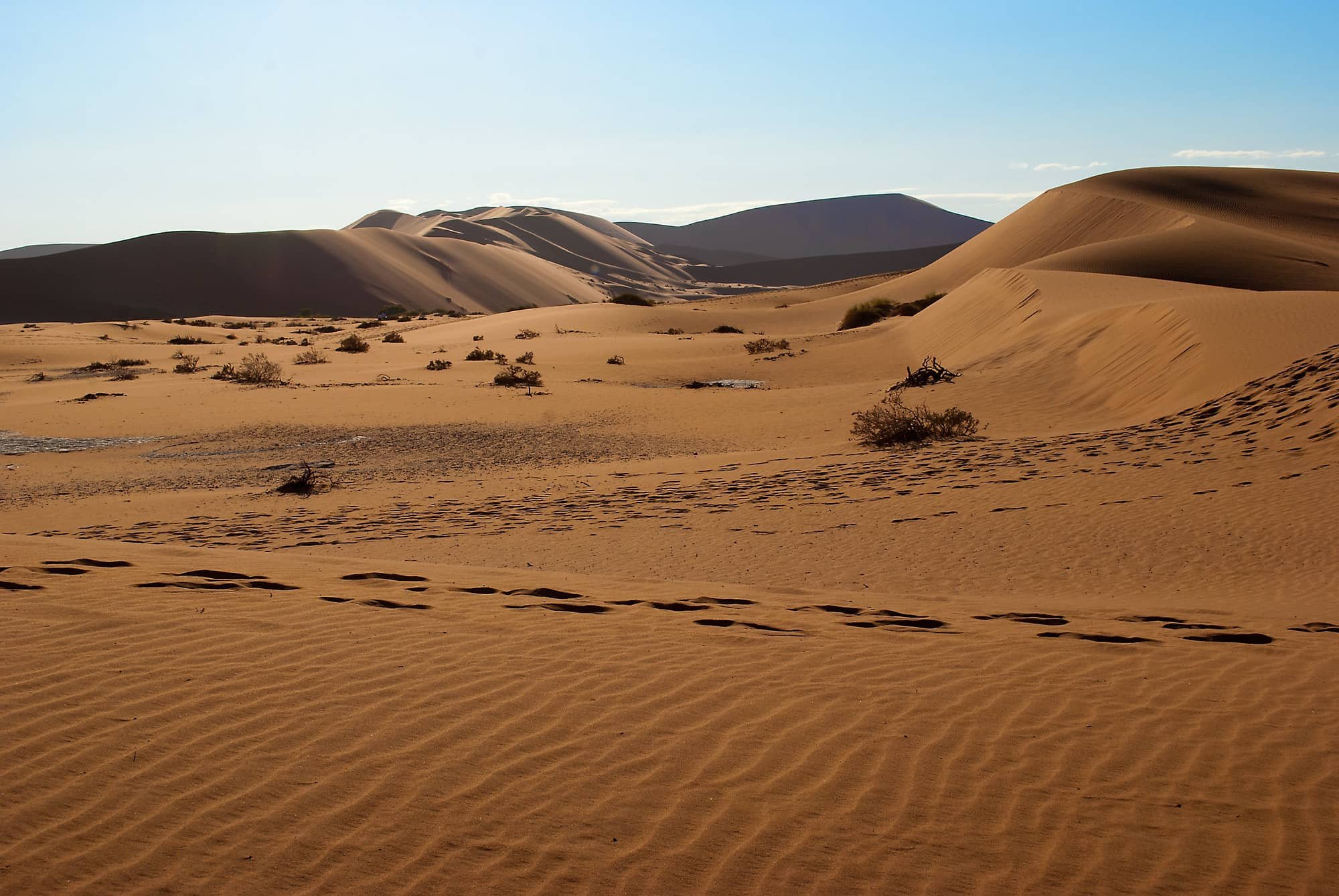 Sossusvlei_6204_2000.jpg