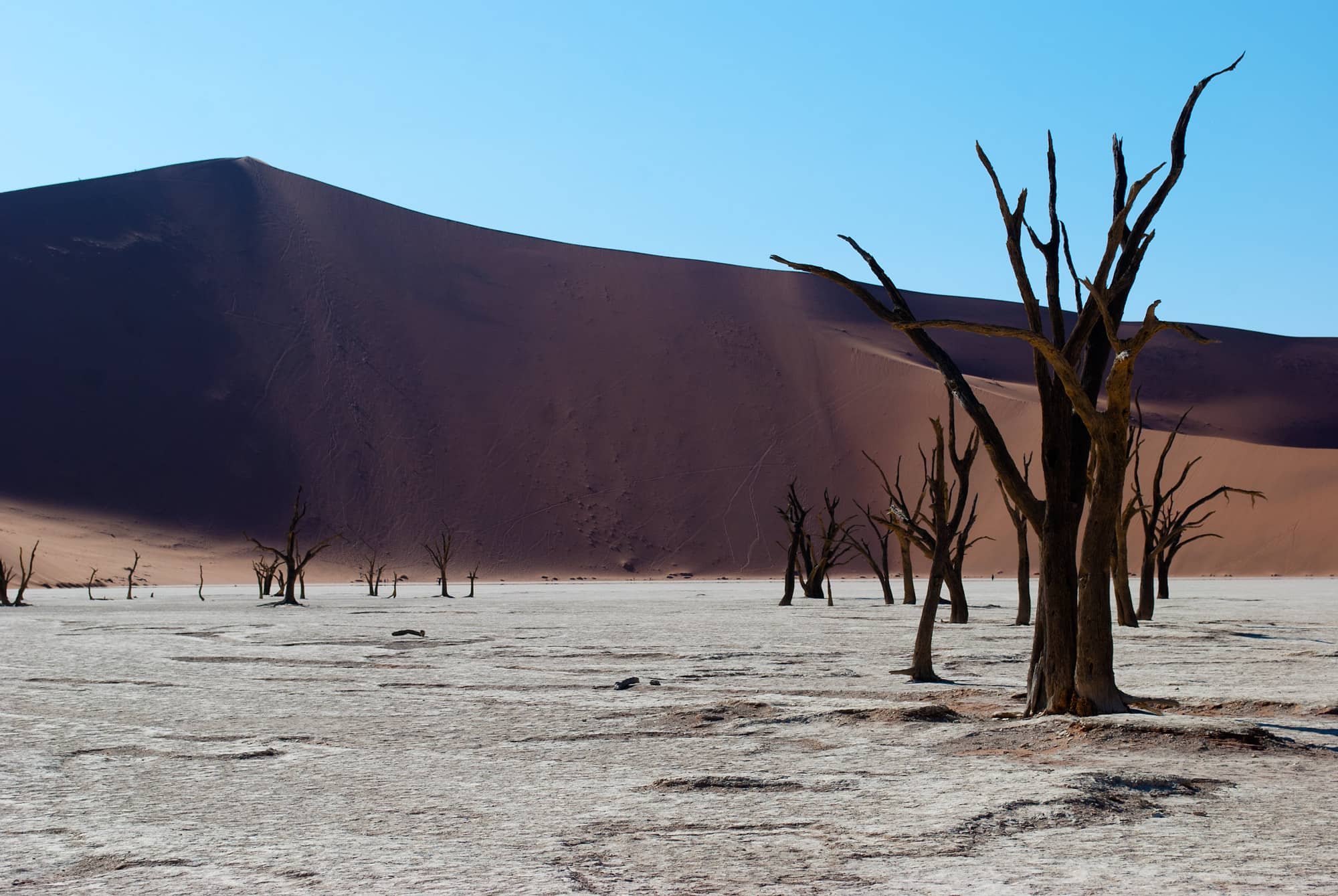 Deadvlei_6291.jpg