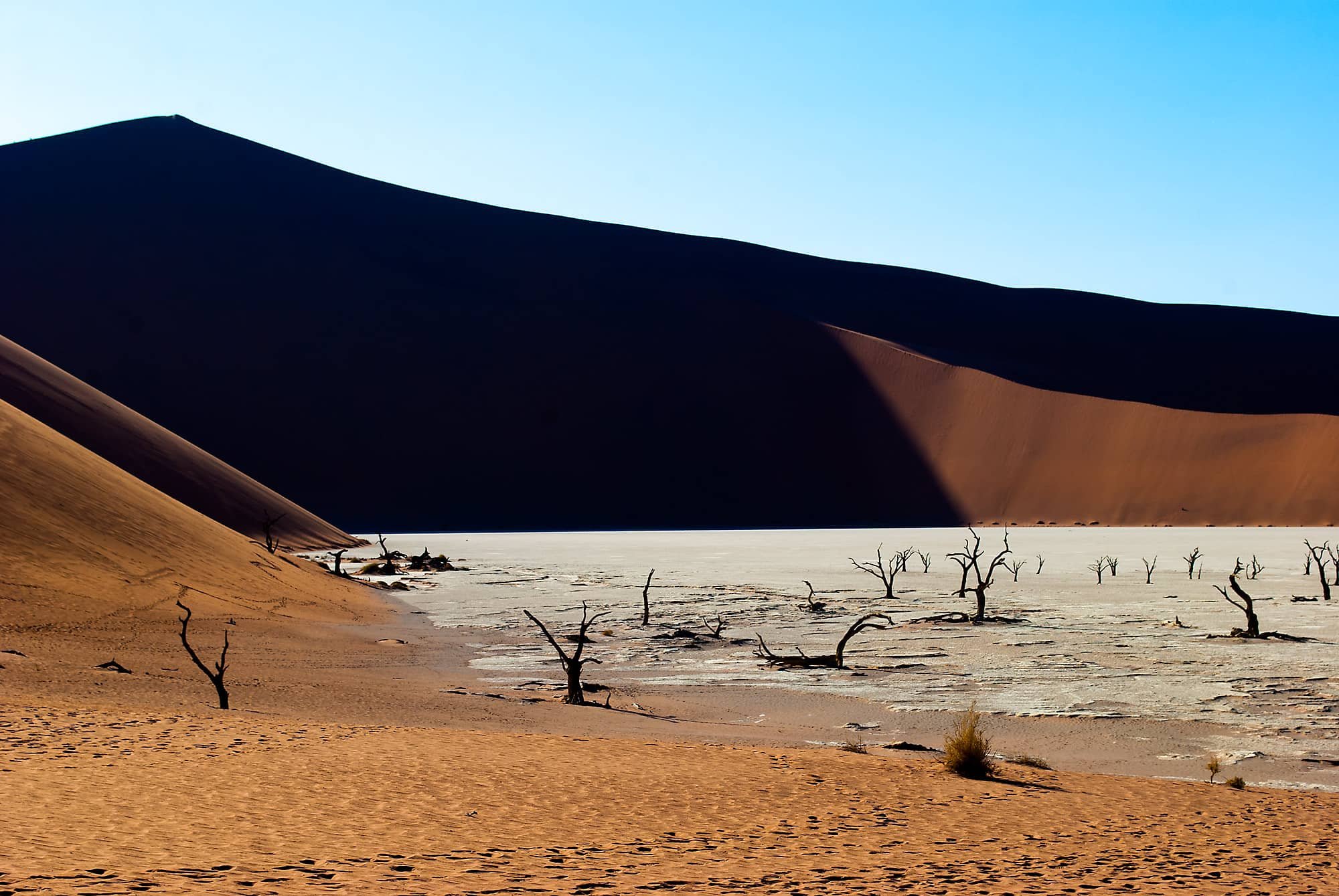 Deadvlei_6224.jpg