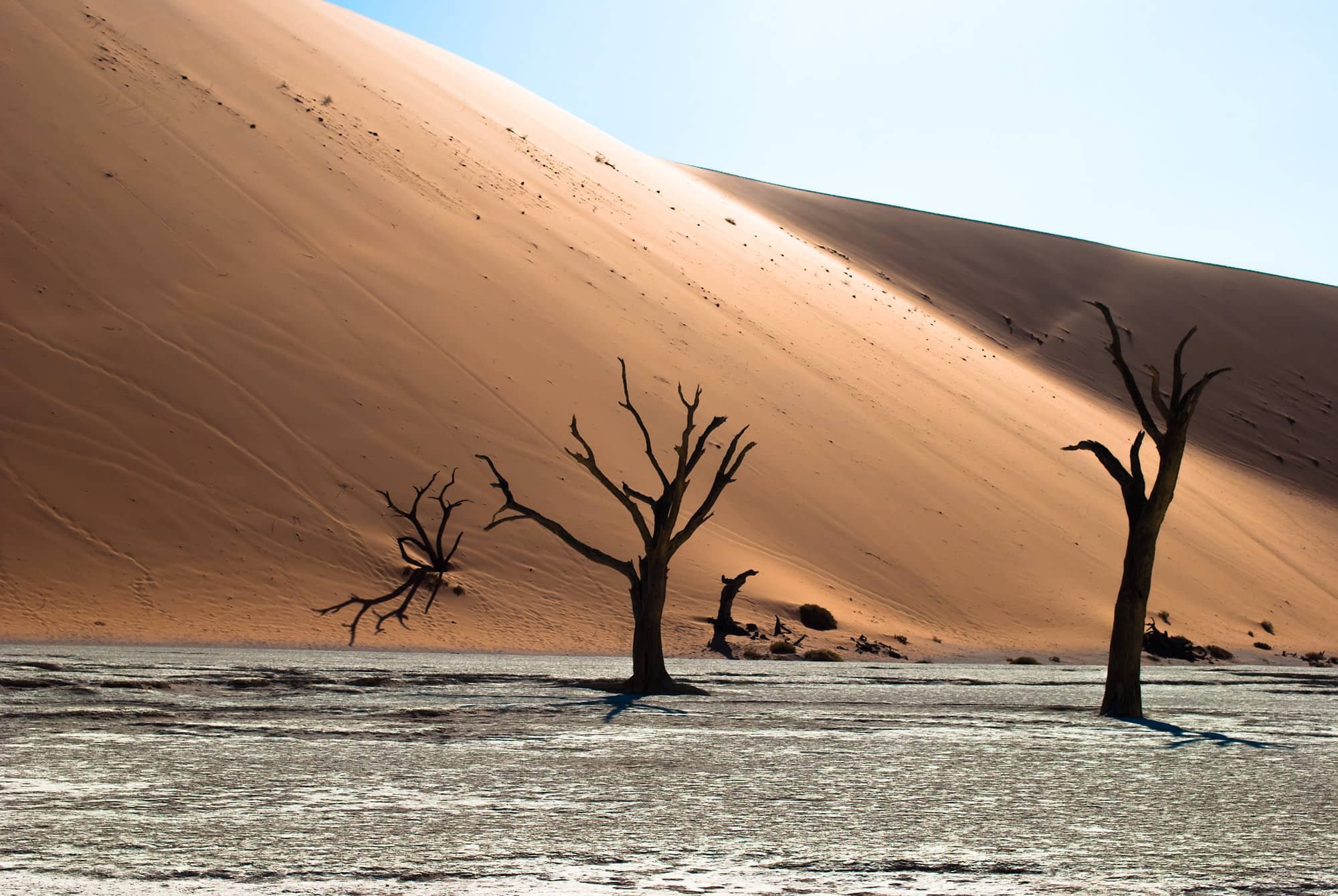 Deadvlei_6303.jpg