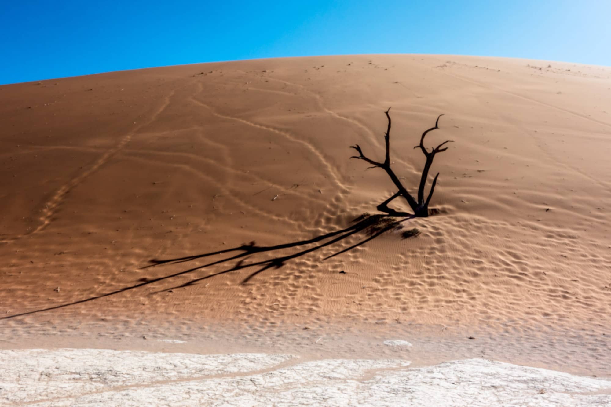 Deadvlei_5437.jpg