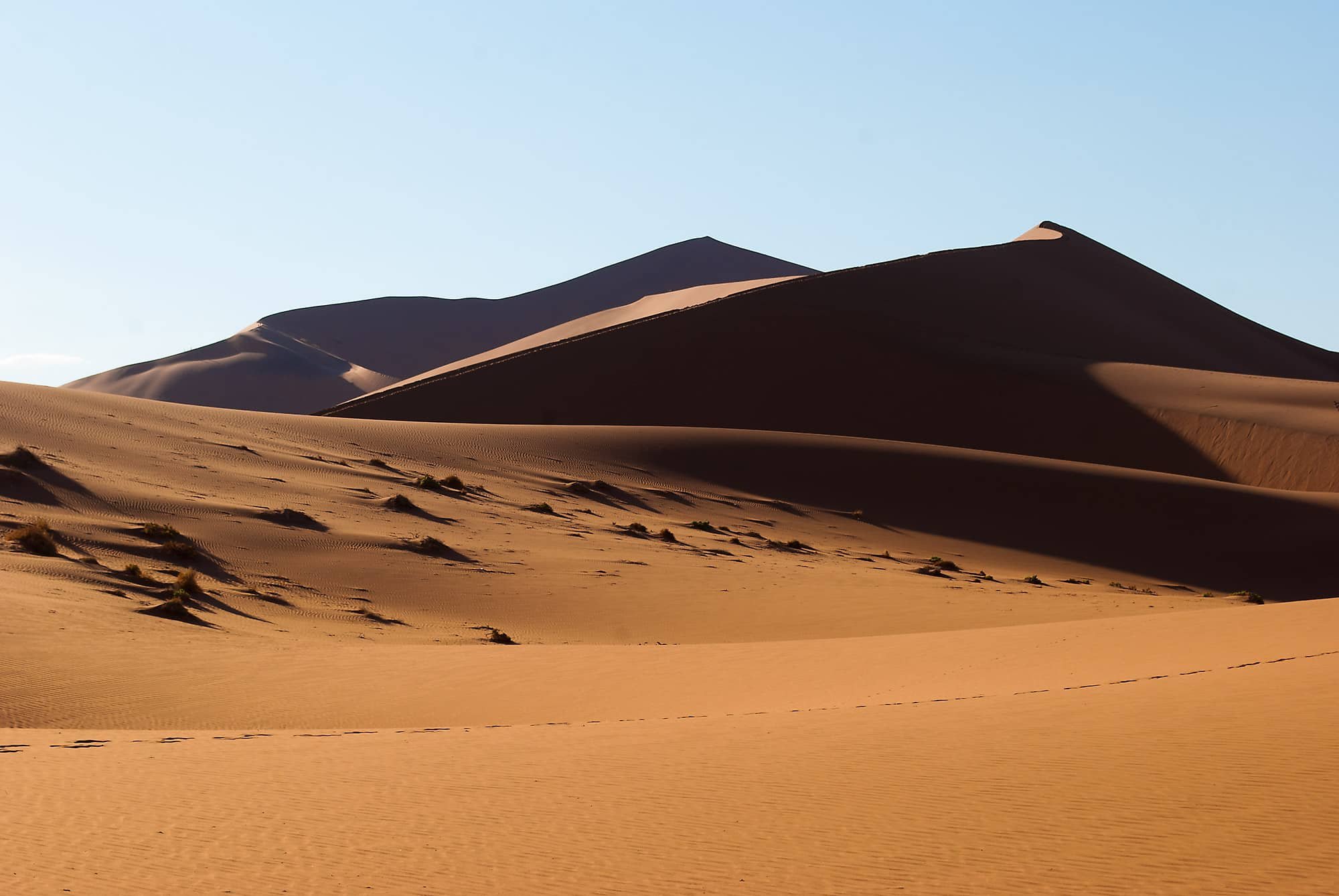 Sossusvlei_6209.jpg