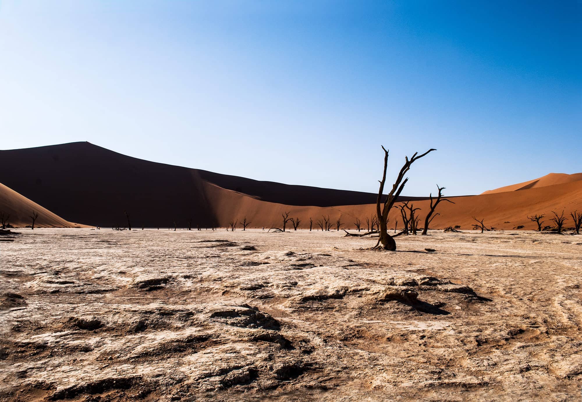 Deadvlei_6243_.jpg