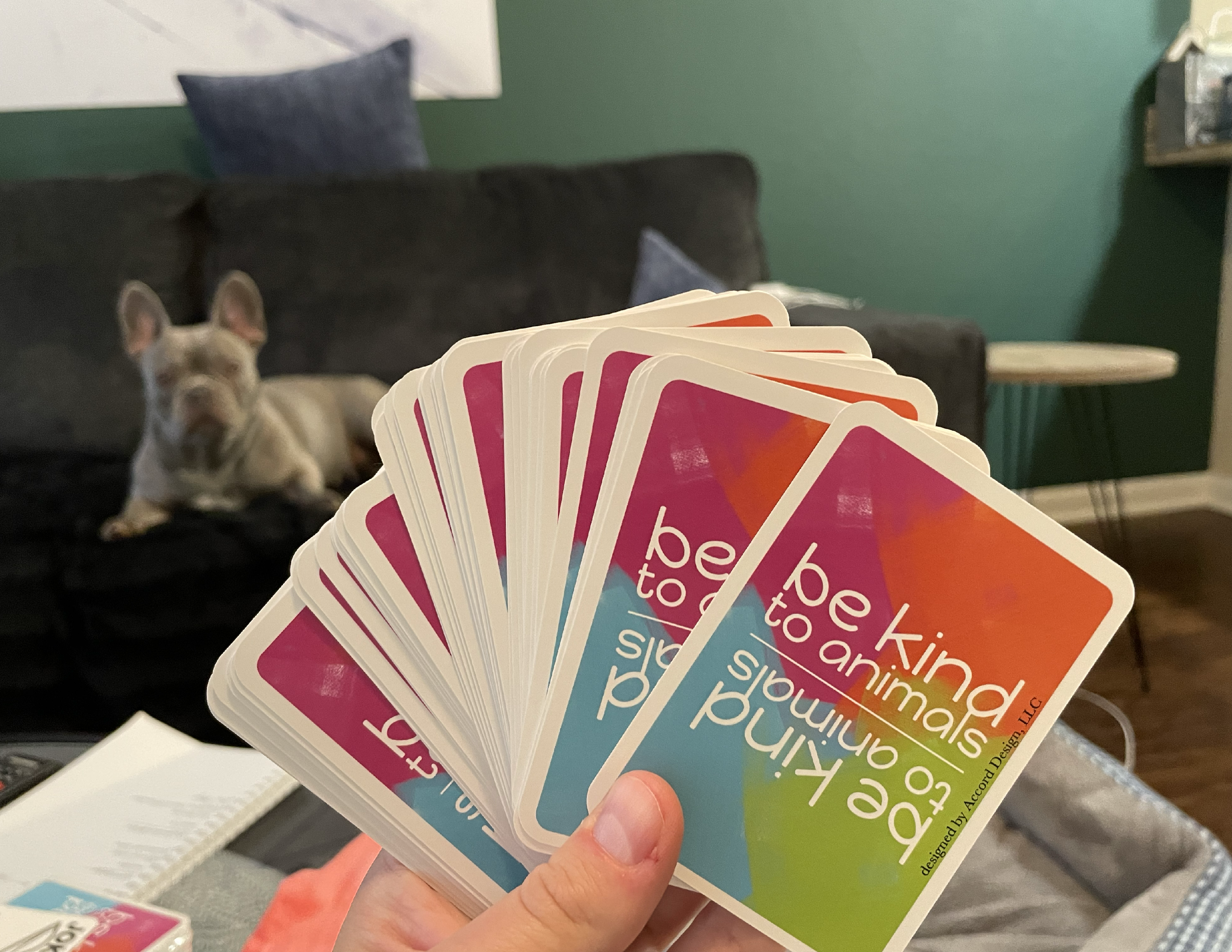 Animal Playing Cards