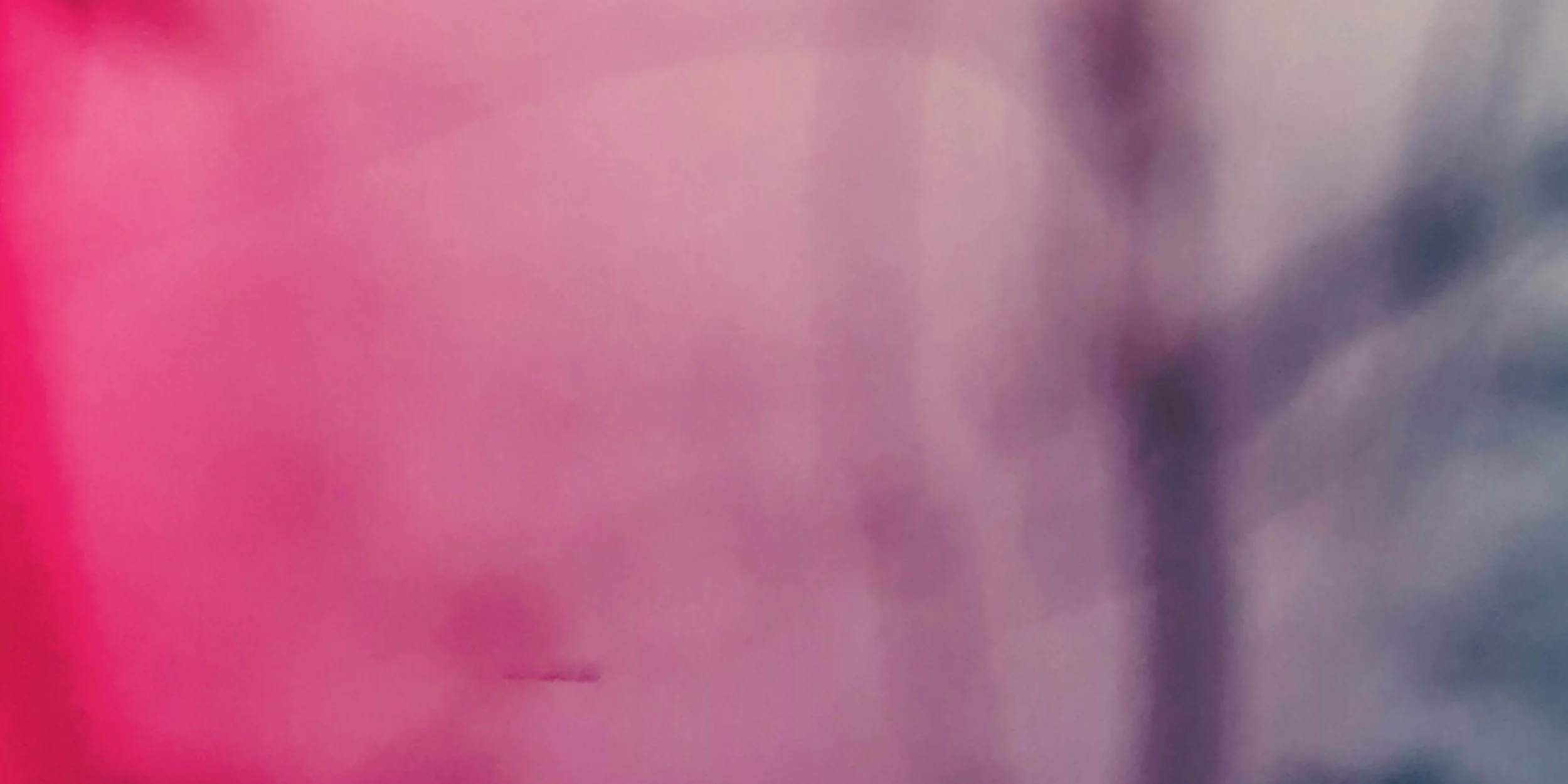 Miloš Forman / Mike Hausman Columbia University Film Festival (CUFF)