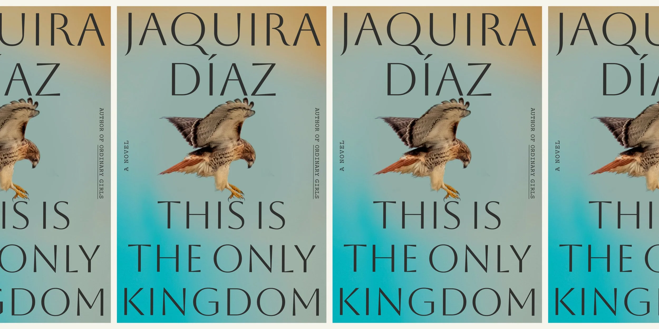 'This is the Only Kingdom: A Novel'