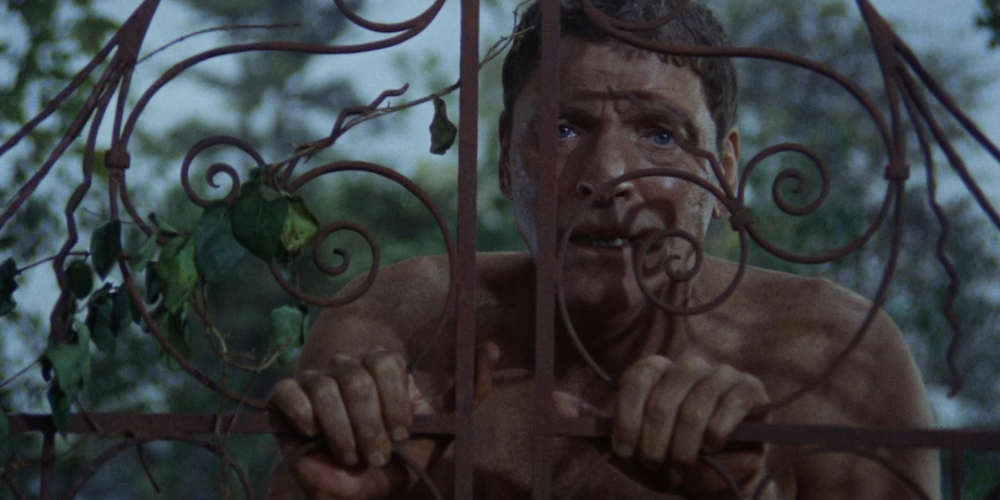 Lenfest Film Faculty Spotlight: Andy Bienen Presents 'The Swimmer'