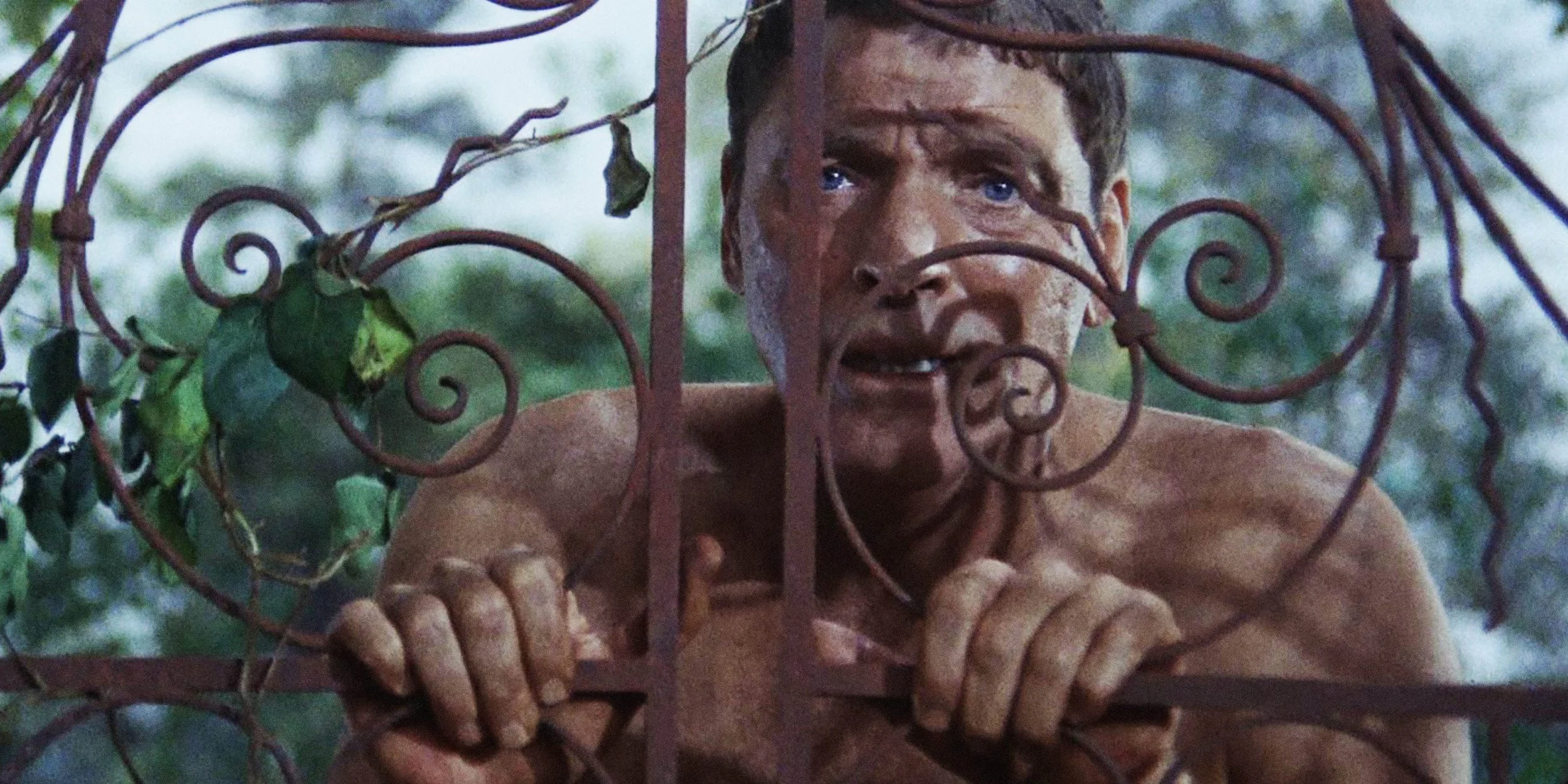 Lenfest Film Faculty Spotlight: Andy Bienen Presents 'The Swimmer'