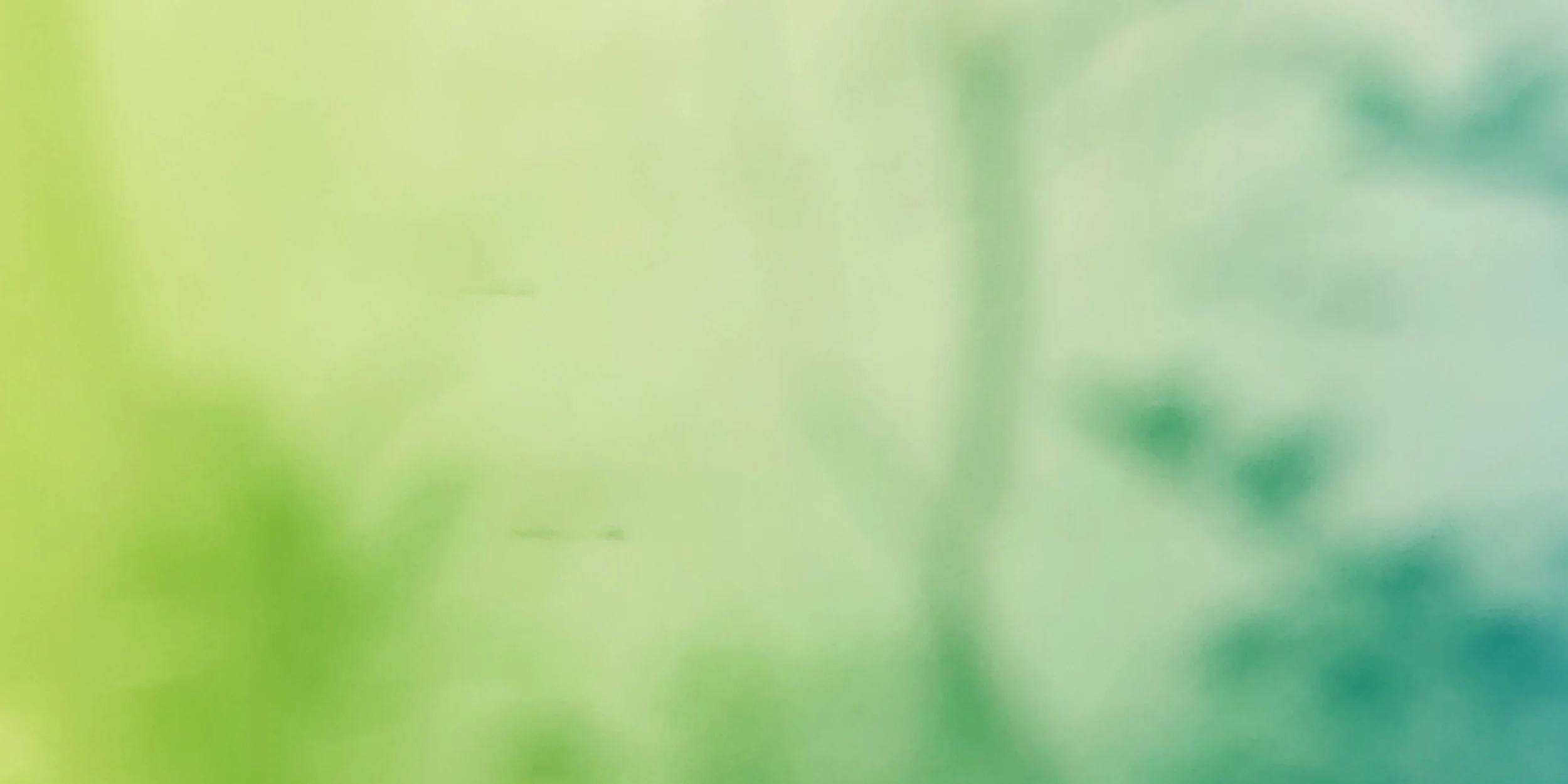 ‘Foundations of Mexican Independent Cinema’