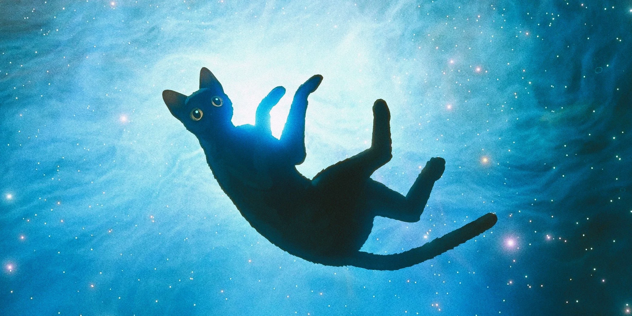 Lenfest Kids: ‘Flow’