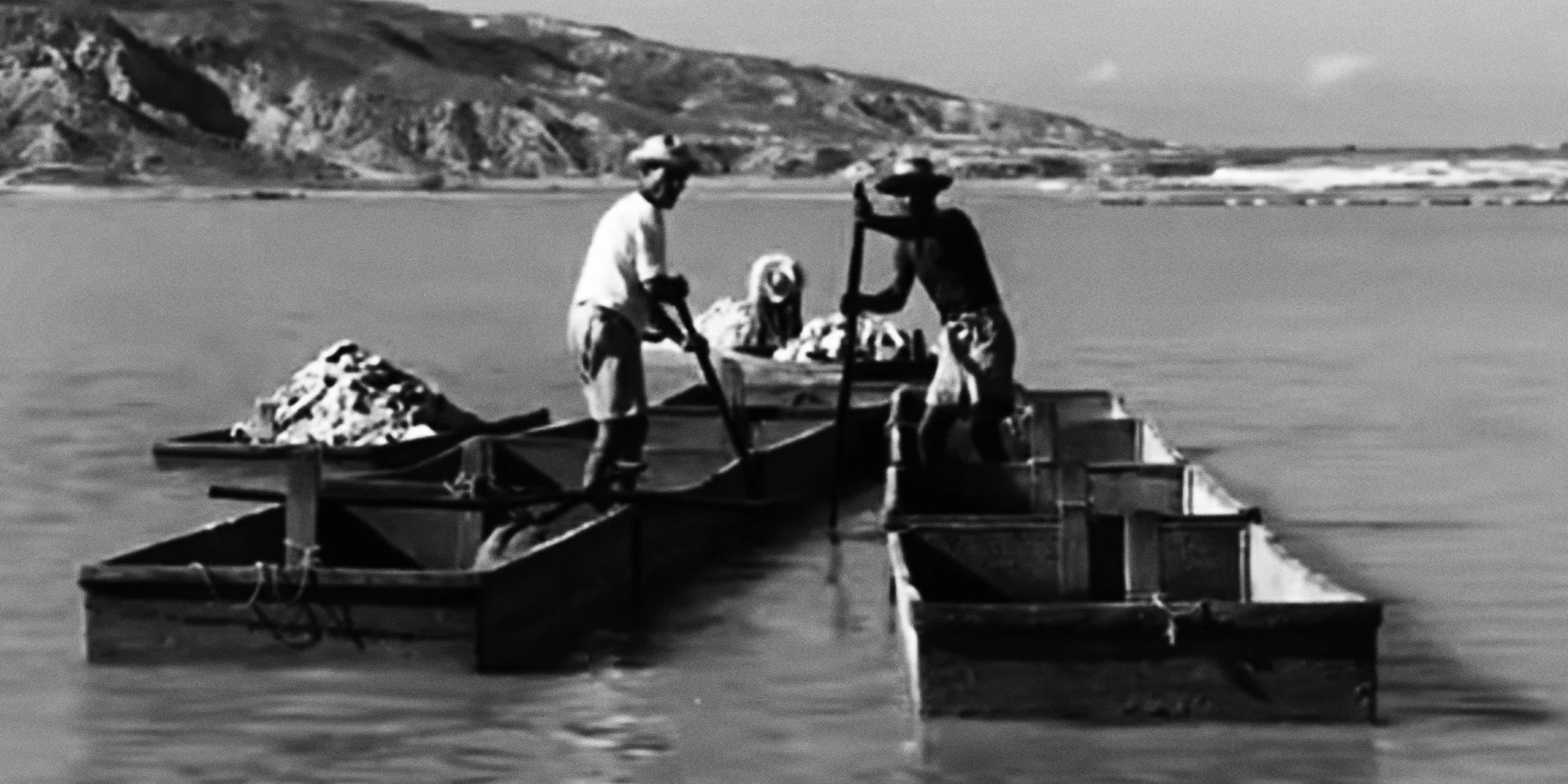 Lenfest Film Faculty Spotlight: Elizabeth Ramírez-Soto Presents 'Araya'