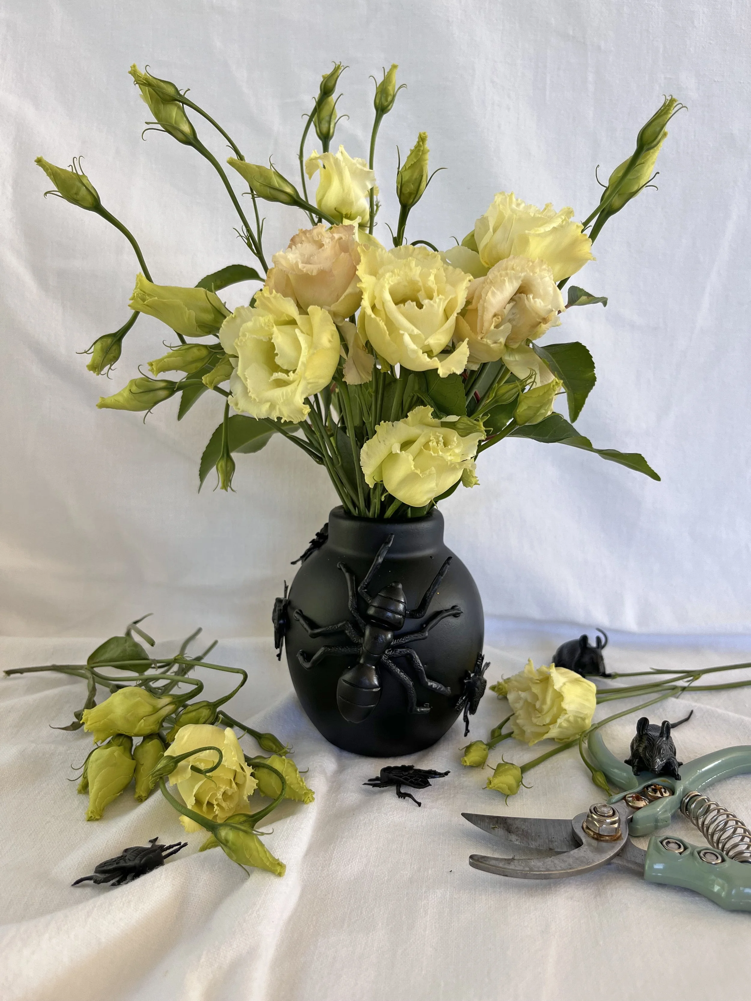 Vase noir recouvert d’insectes géants pour une décoration d’Halloween façon cabinet de curiosités