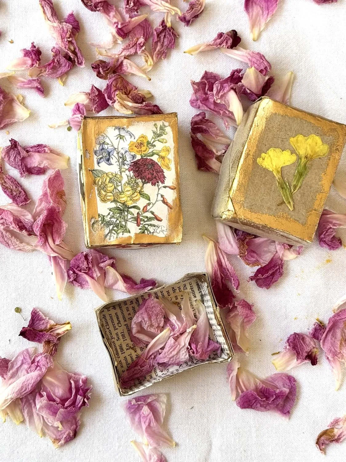 32Boite cadeau avec deux rouleaux carton de papier toilette.jpg
