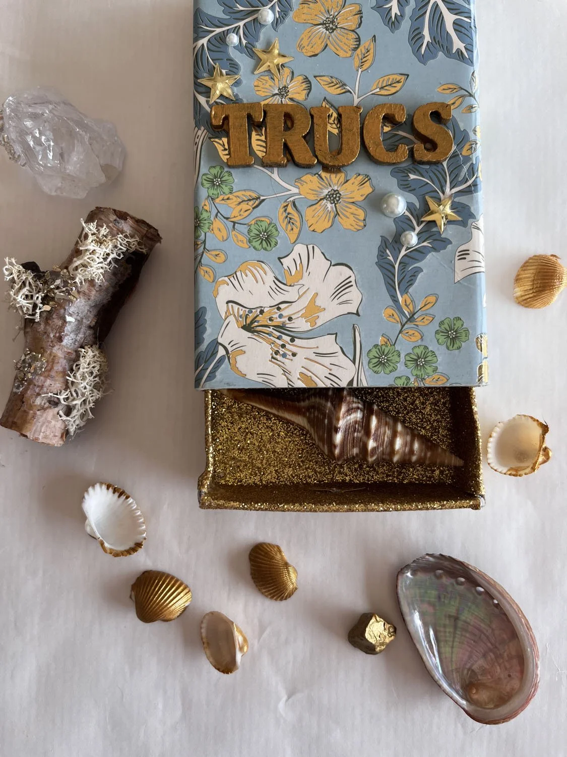 compo boite trucs et coquillages.jpg
