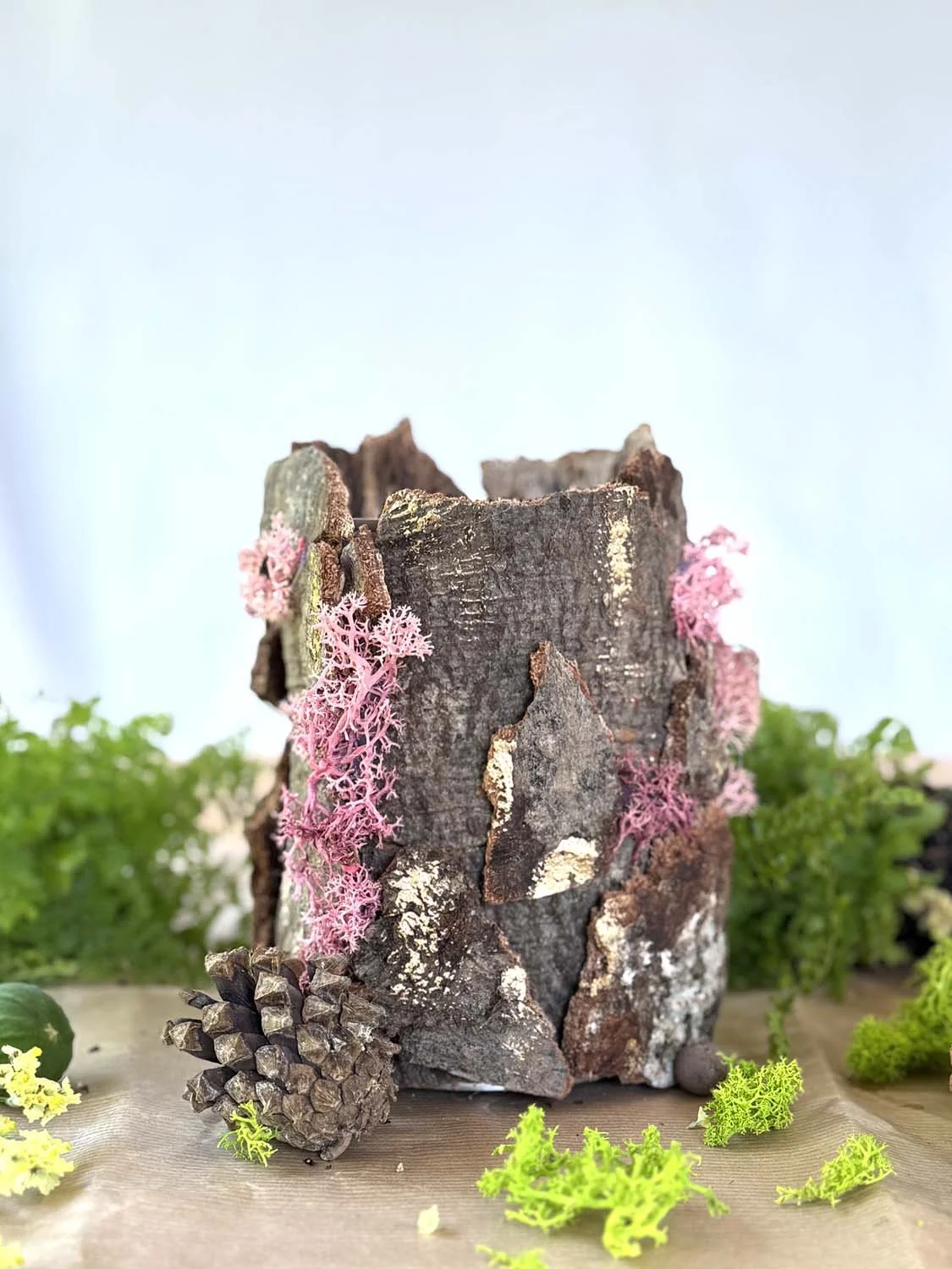 31-Cache-pot récup bois et mousse.jpg