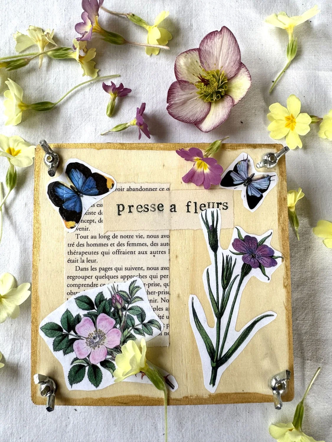 101 Collage presse à fleurs copie.jpg