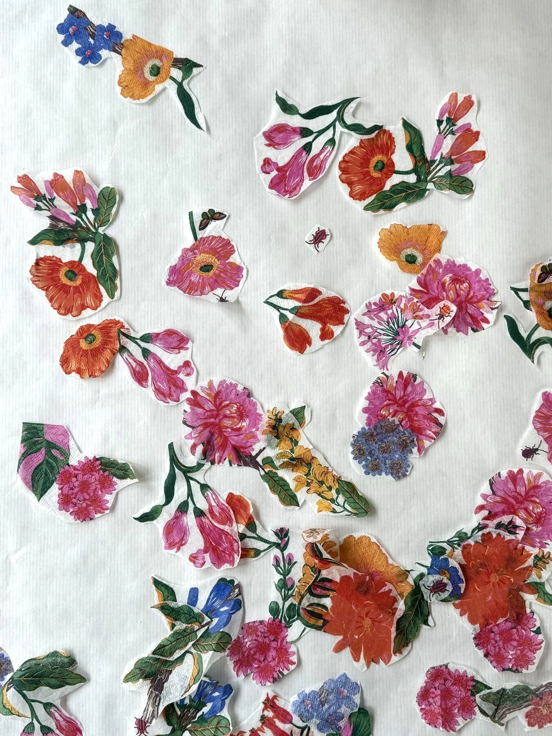 1cagettes récup aout 2024 copie.jpg