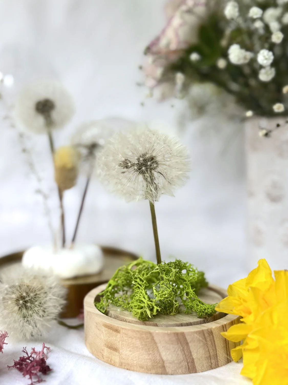 34-diy-cloches de pissenlits.jpg