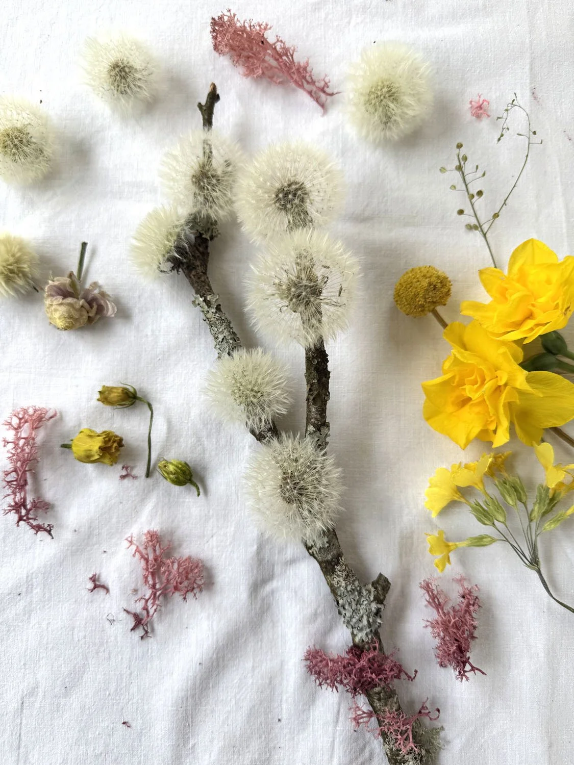 45-diy-branche de pissenlits.jpg