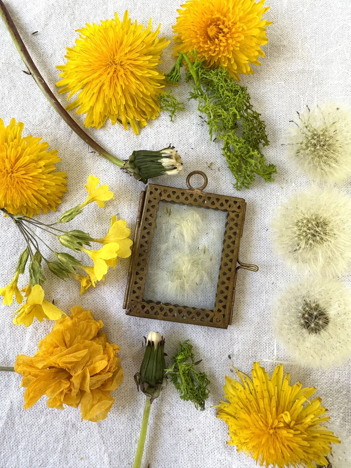 32-diy-cadre pissenlits.jpg