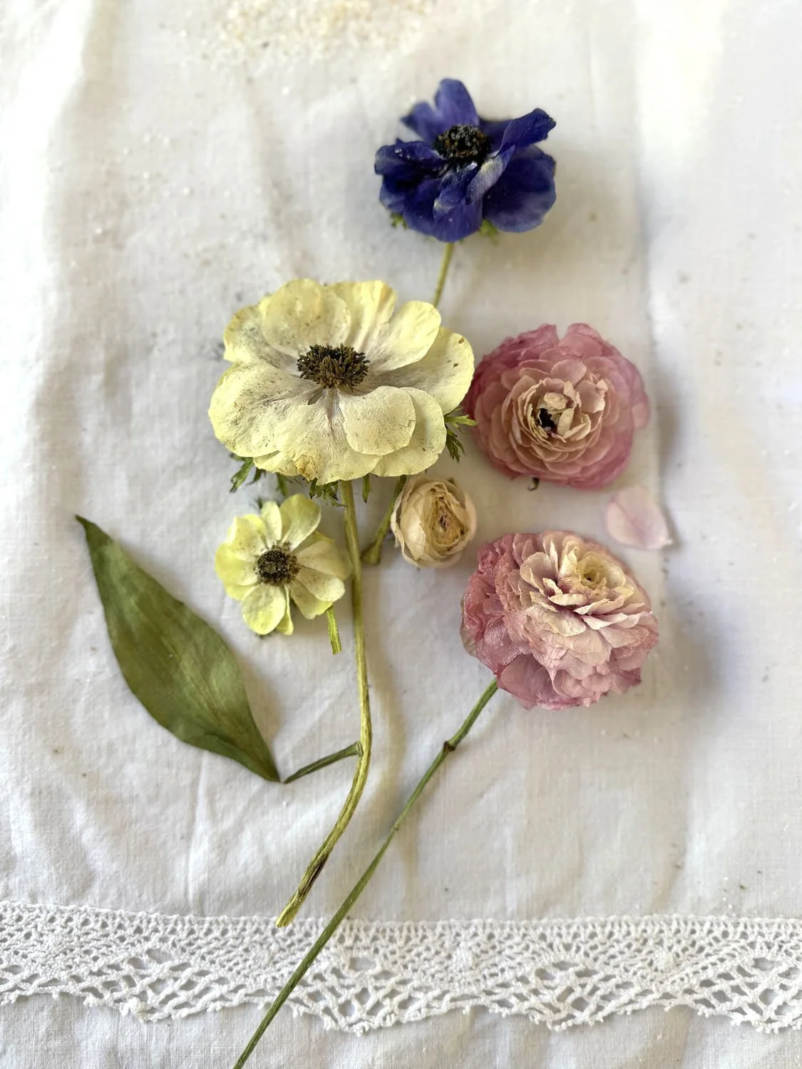 Bouquet fleurs séchées silice 2.jpg