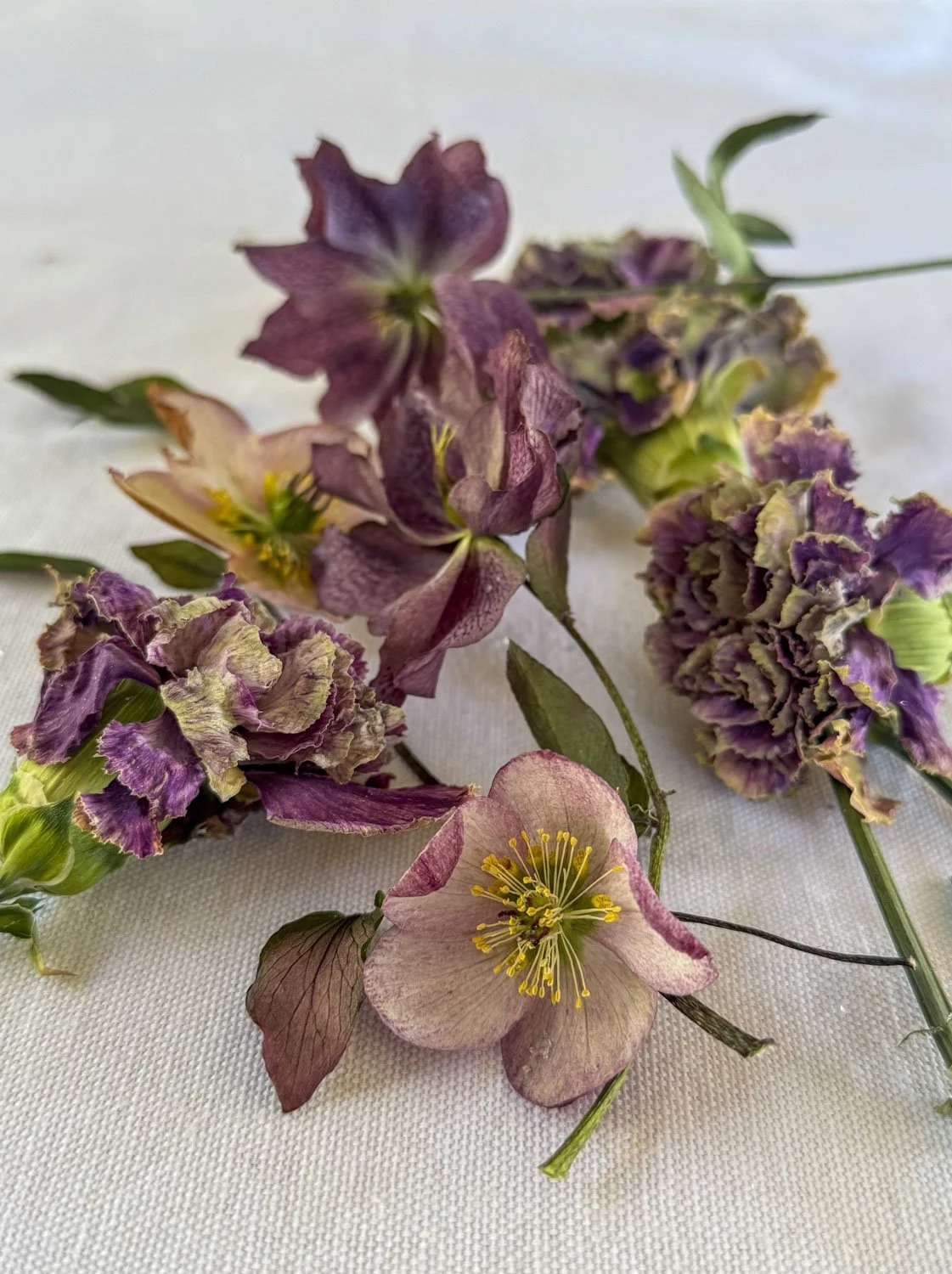 DIY fleurs séchées &amp; pressées : conseils, astuces et créations poétiques