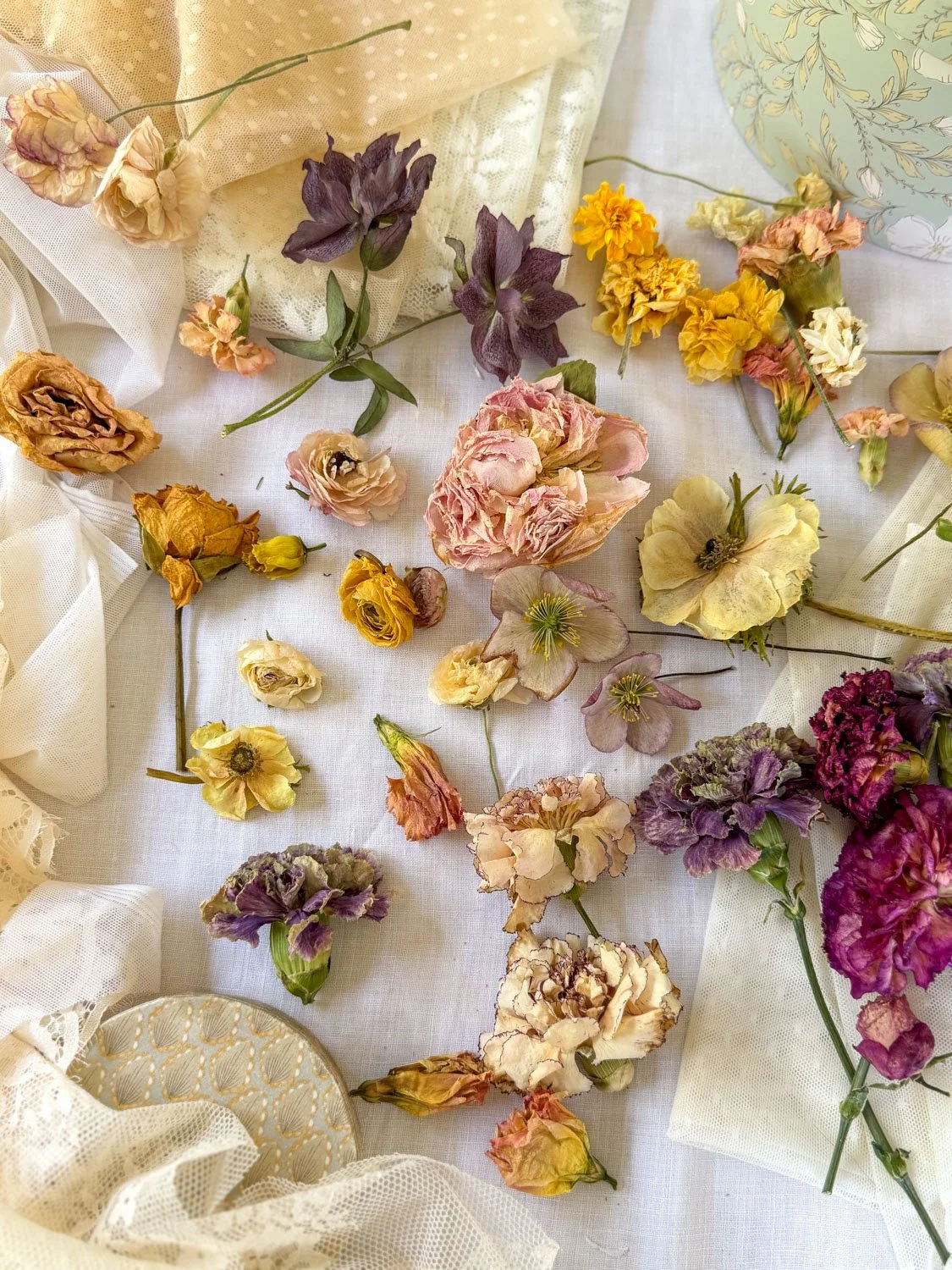 Des fleurs séchées aux couleurs vibrantes