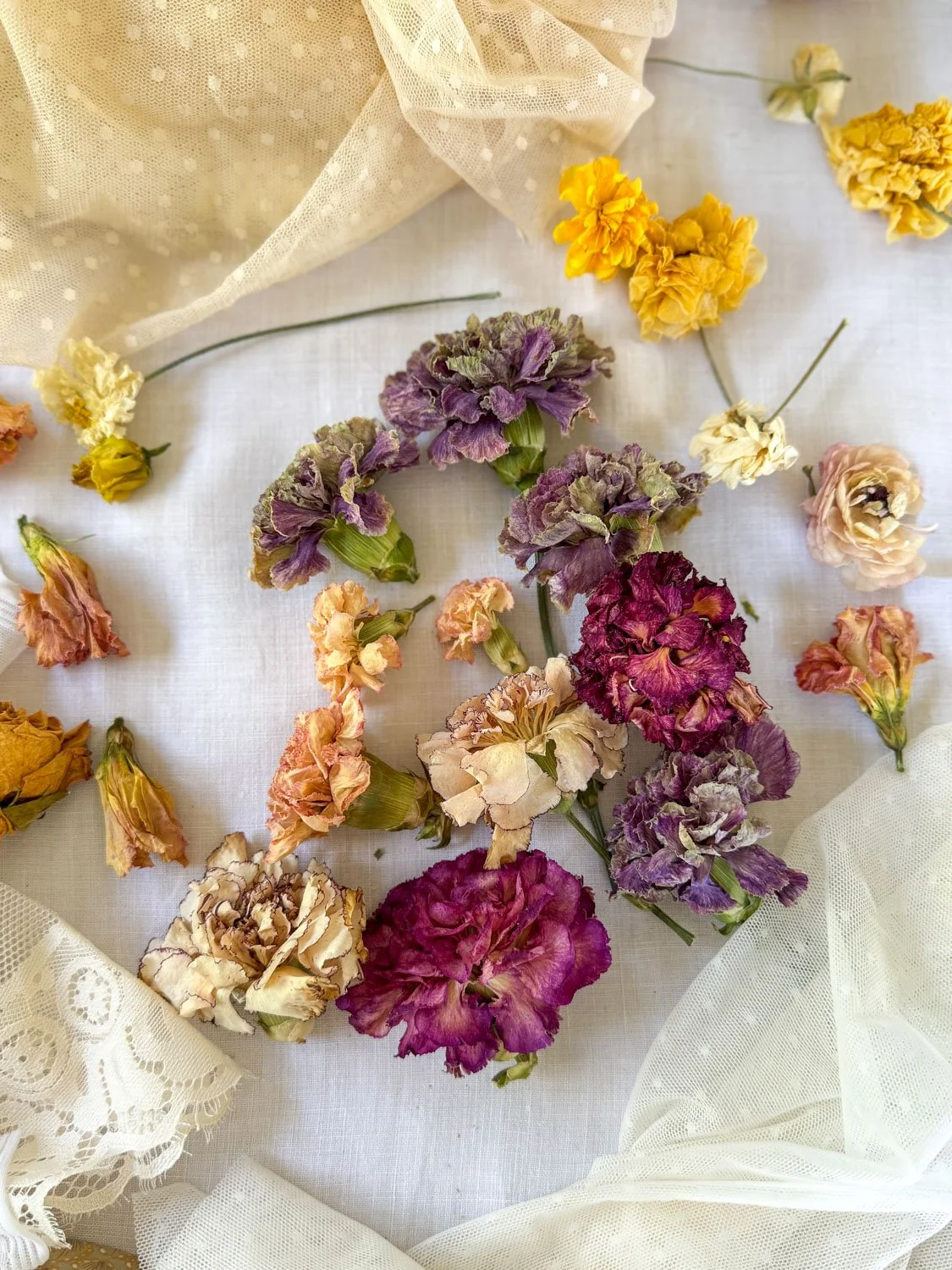 6-gel de silice -oeillets.jpg