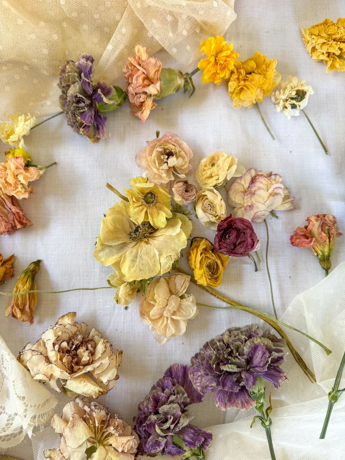 8-gel de silice anémones.jpg