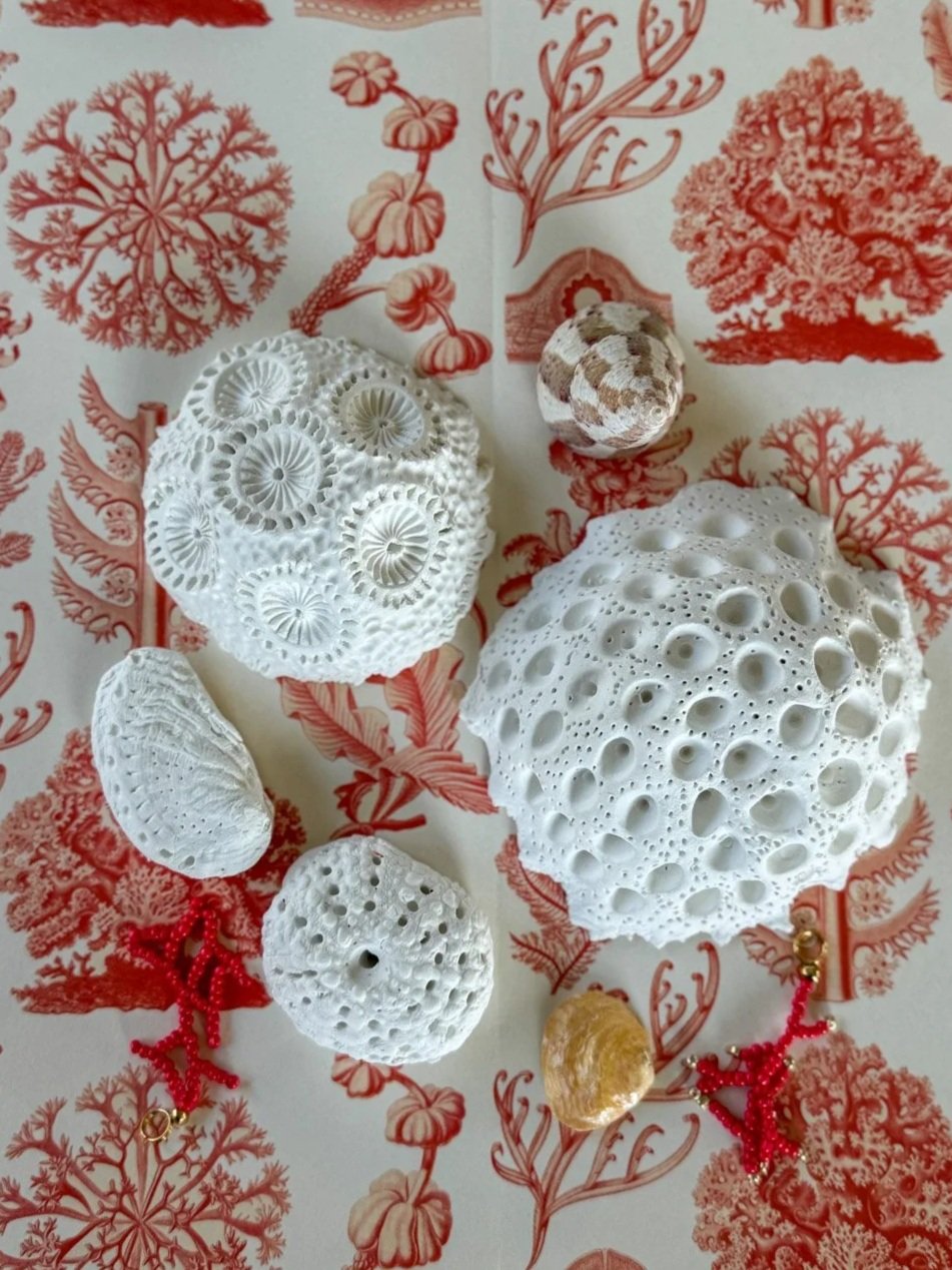 Coquillages &amp; Curiosités : Créations inspirées du bord de mer