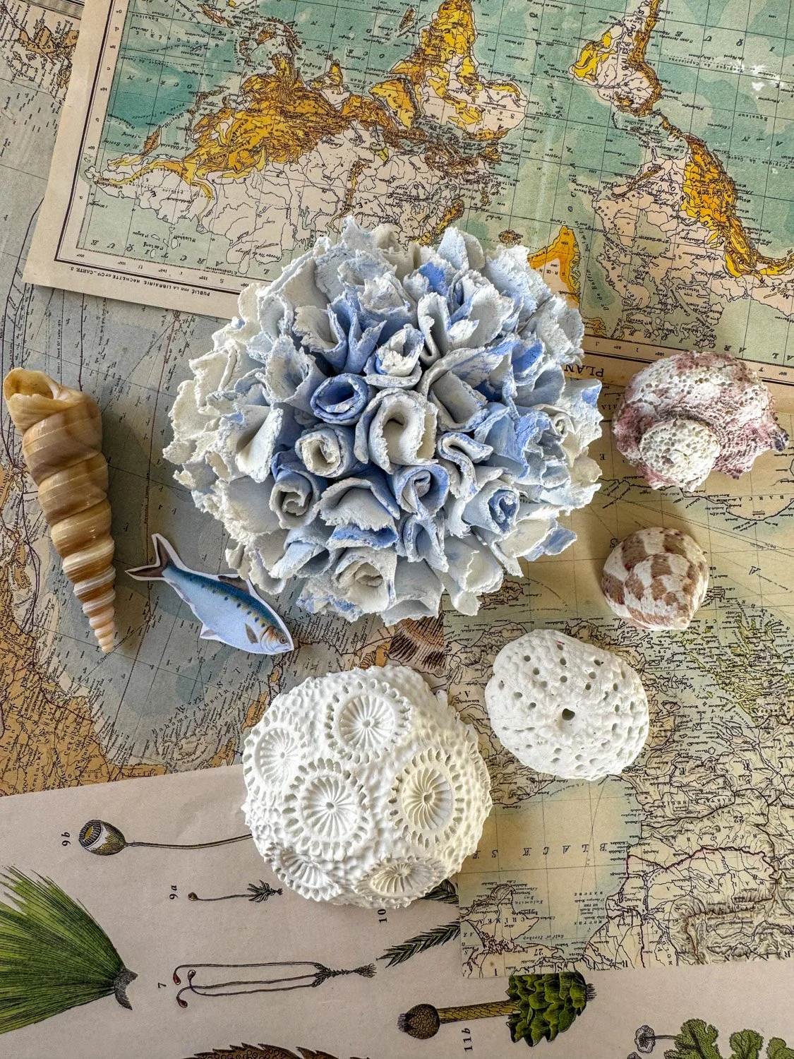 32-Coraux bleu et balnc argile sans cuisson copie.jpg