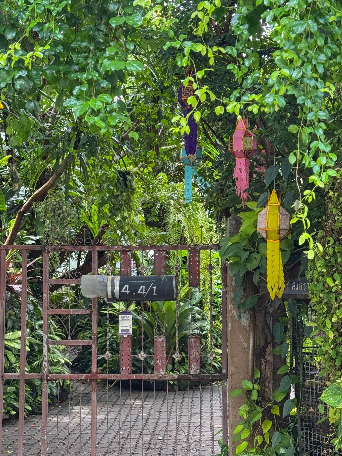 5-Chiang Mai-quartier de Green tiger house.jpg