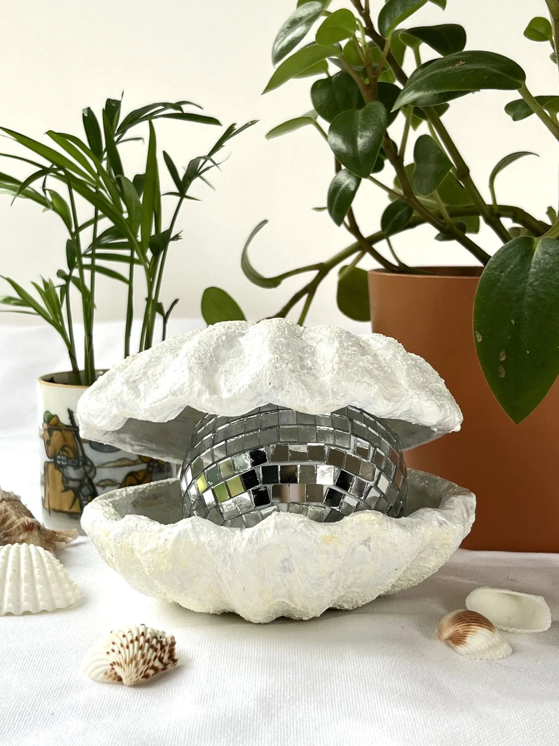 25 coquillage perle disco.jpg