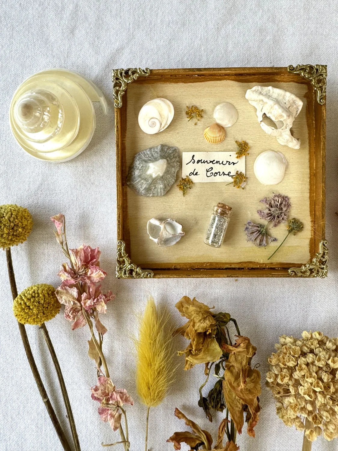 10Cadre Souvenirs de Corse.jpg