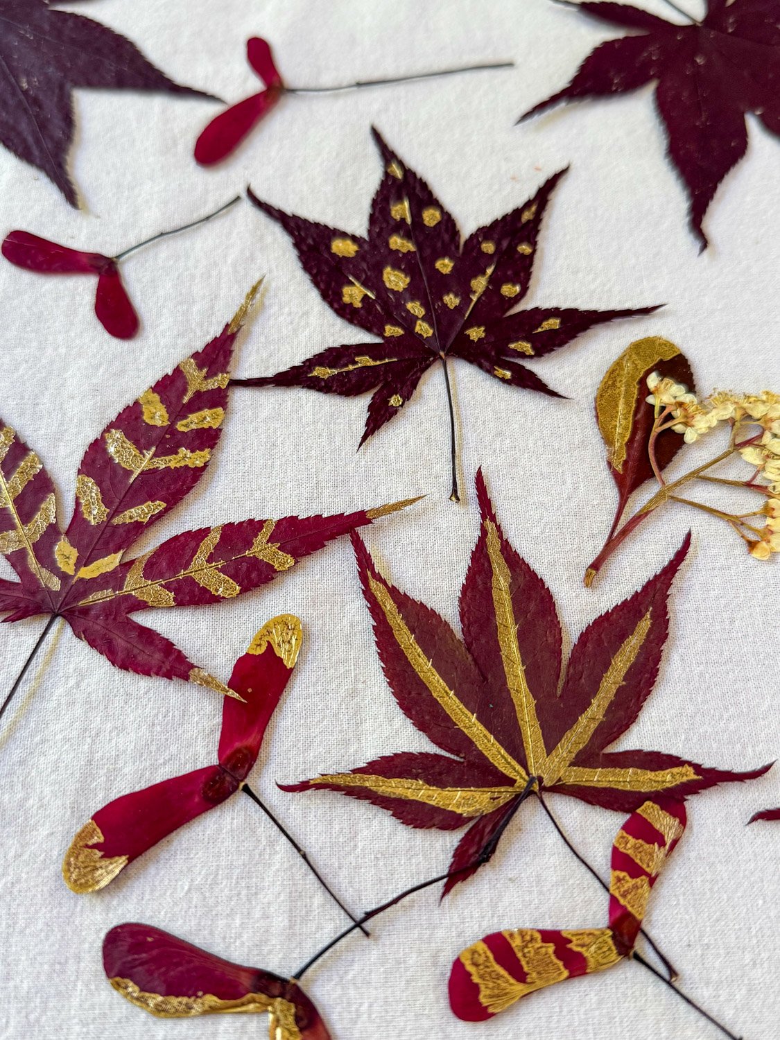 3-Cueillettes précieuses-Fleurs et feuilles rehaussés d'or copie.jpg