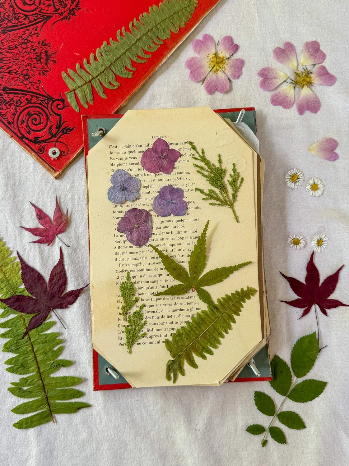 29-Presse-fleurs livres anciens copie.jpg