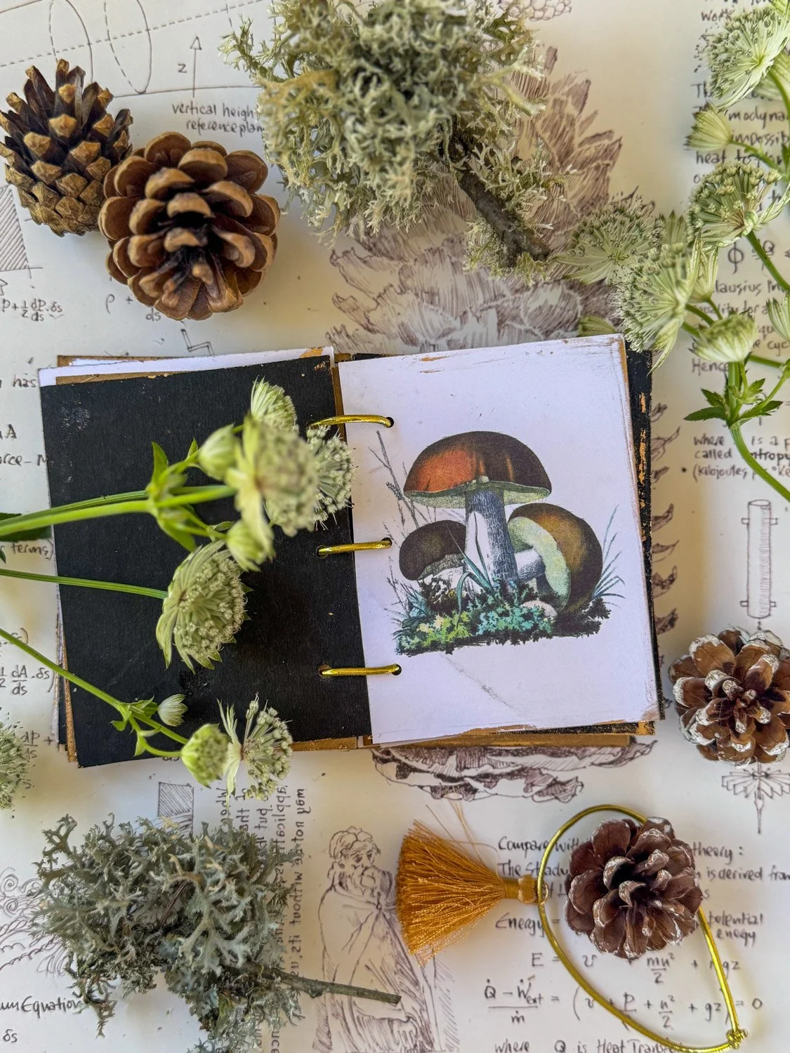 24-Carnet Champignons.jpg