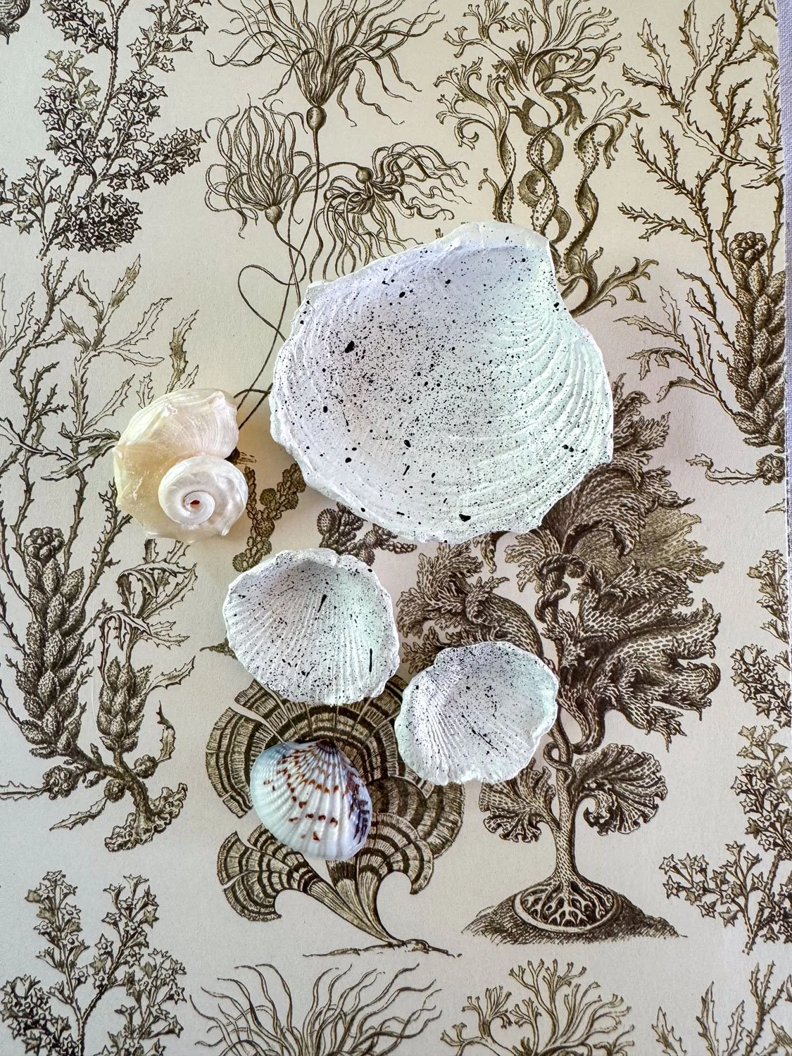23-coupelles coquillages argile moulées.jpg