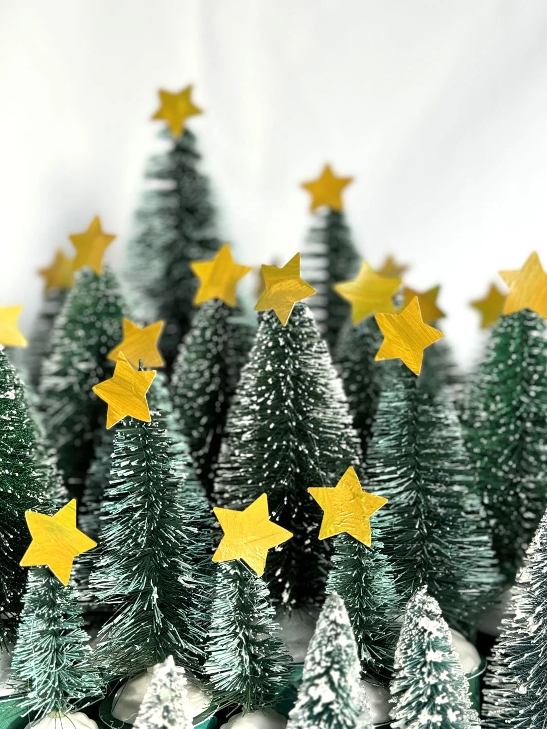 37calendrier de l'avent forêt de sapins.jpg
