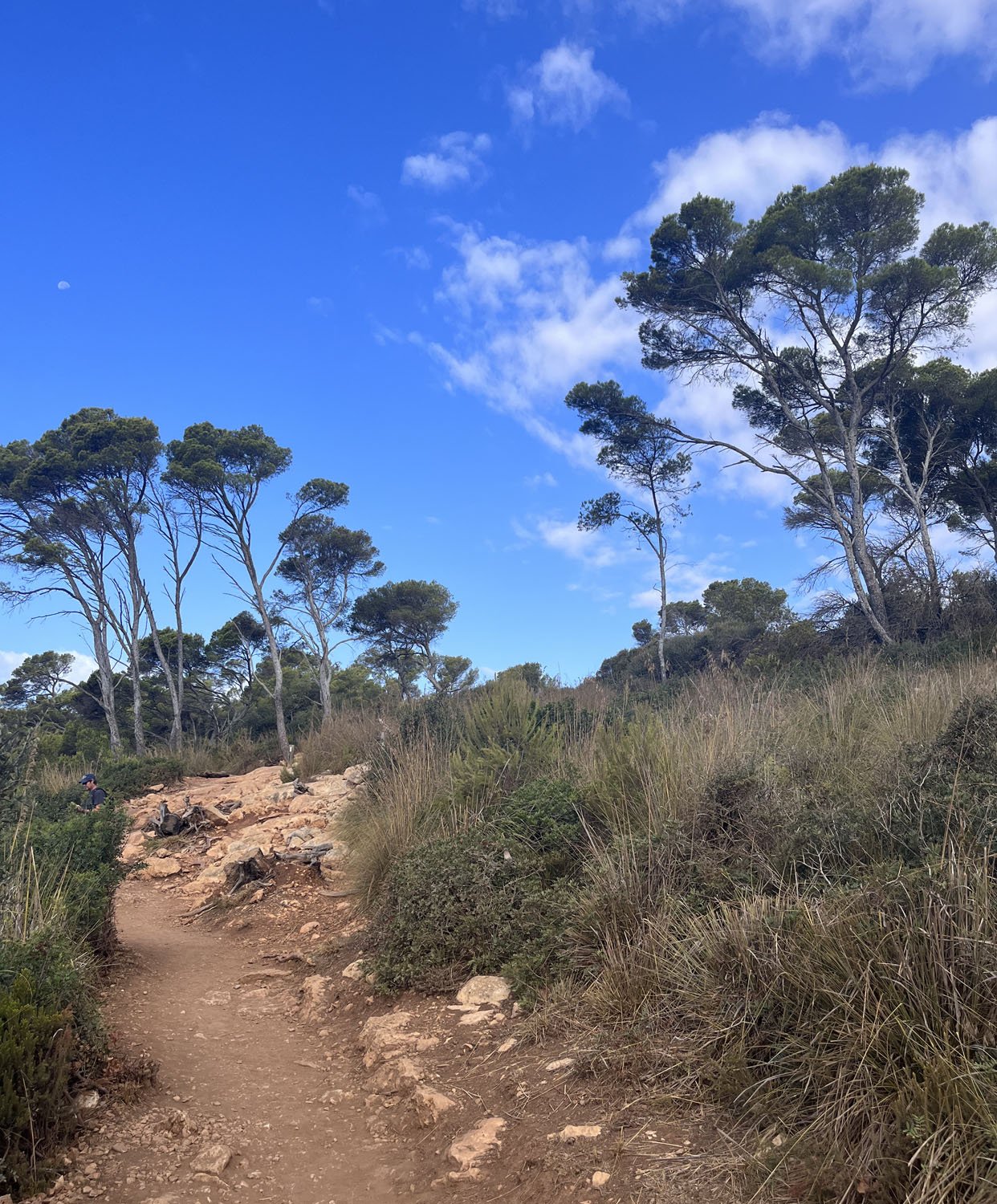 Notre voyage à Minorque - Cala en Porter, Ciutadella, Monte Toro, Binibequer, les plages de Macarella et Macareletta…