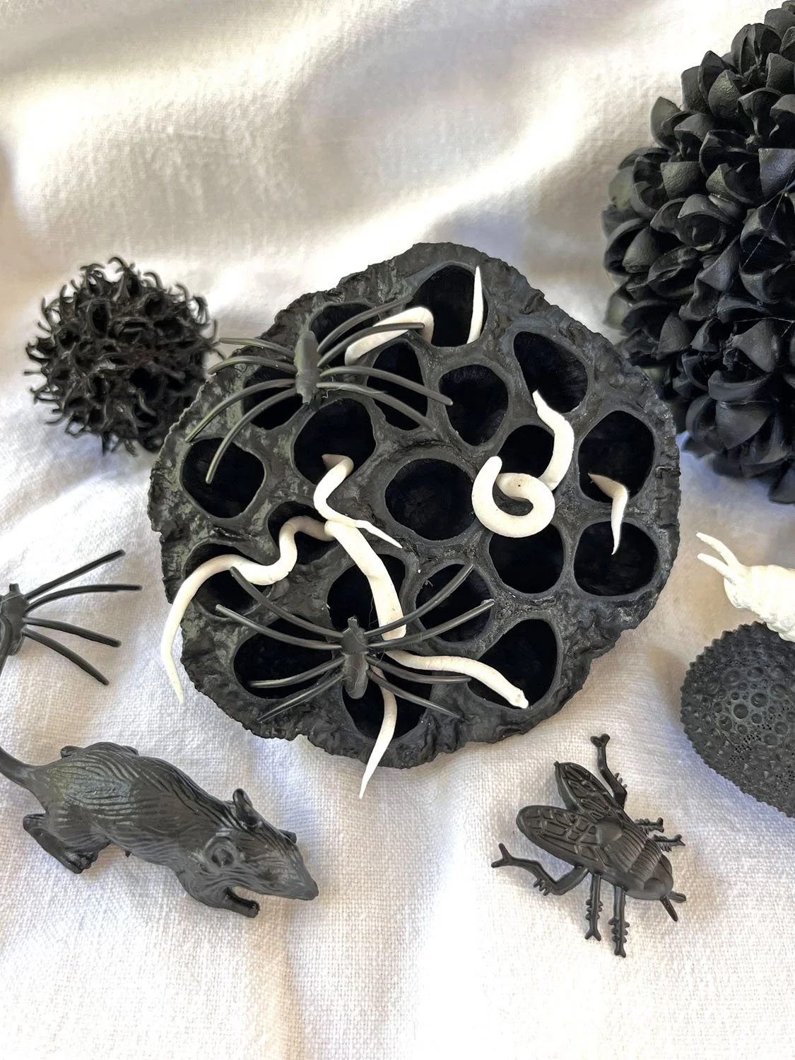 Fleur de lotus noire avec petits vers blancs en pâte autodurcissante pour Halloween