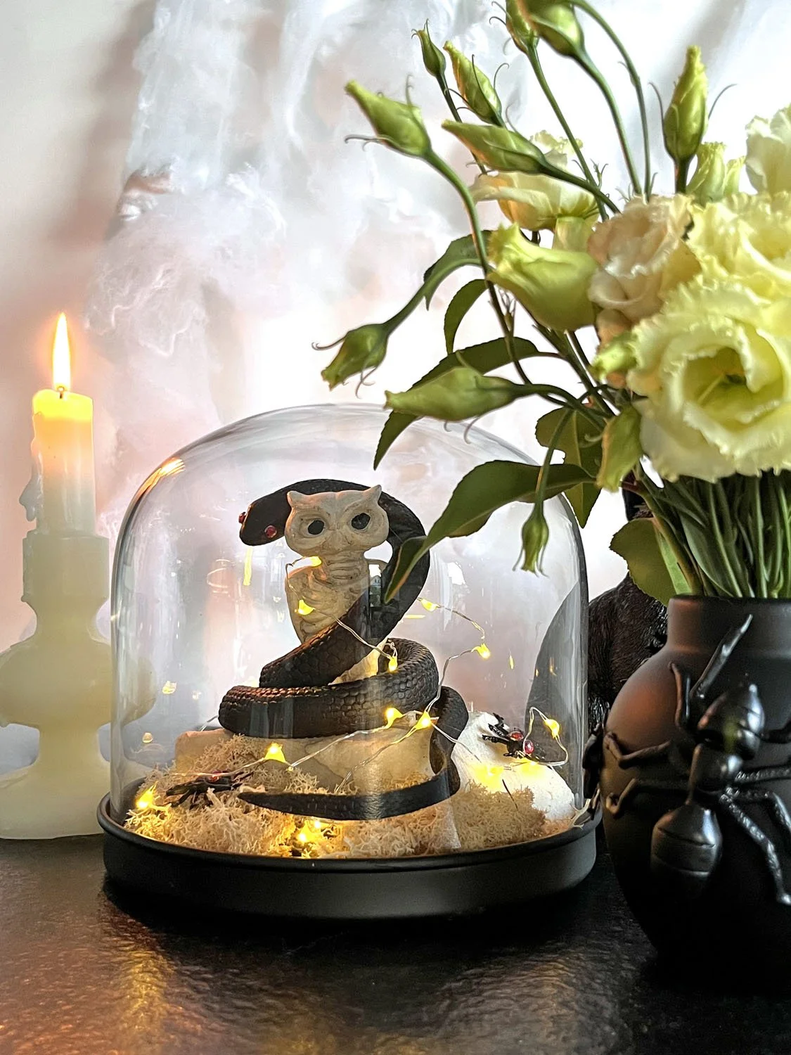 Serpent noir enlacé autour d’un squelette de hibou sous une cloche de verre pour Halloween