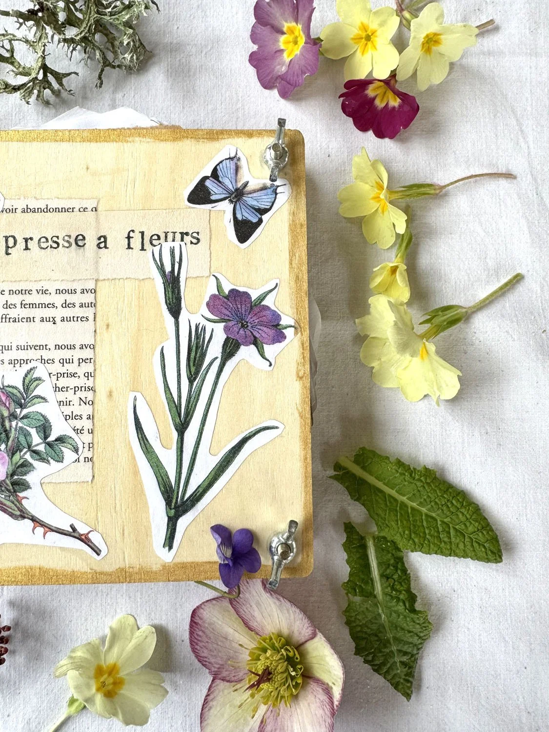 Presse à Fleurs Personnalisée | Herbier & Séchage Facile