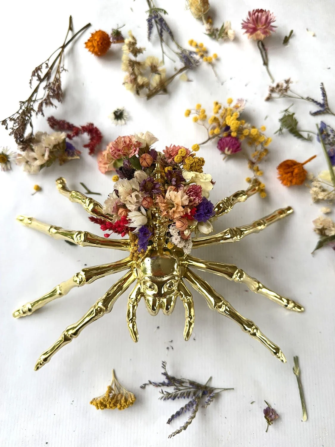 Squelette décoré de fleurs séchées colorées pour un Halloween étrange et poétique