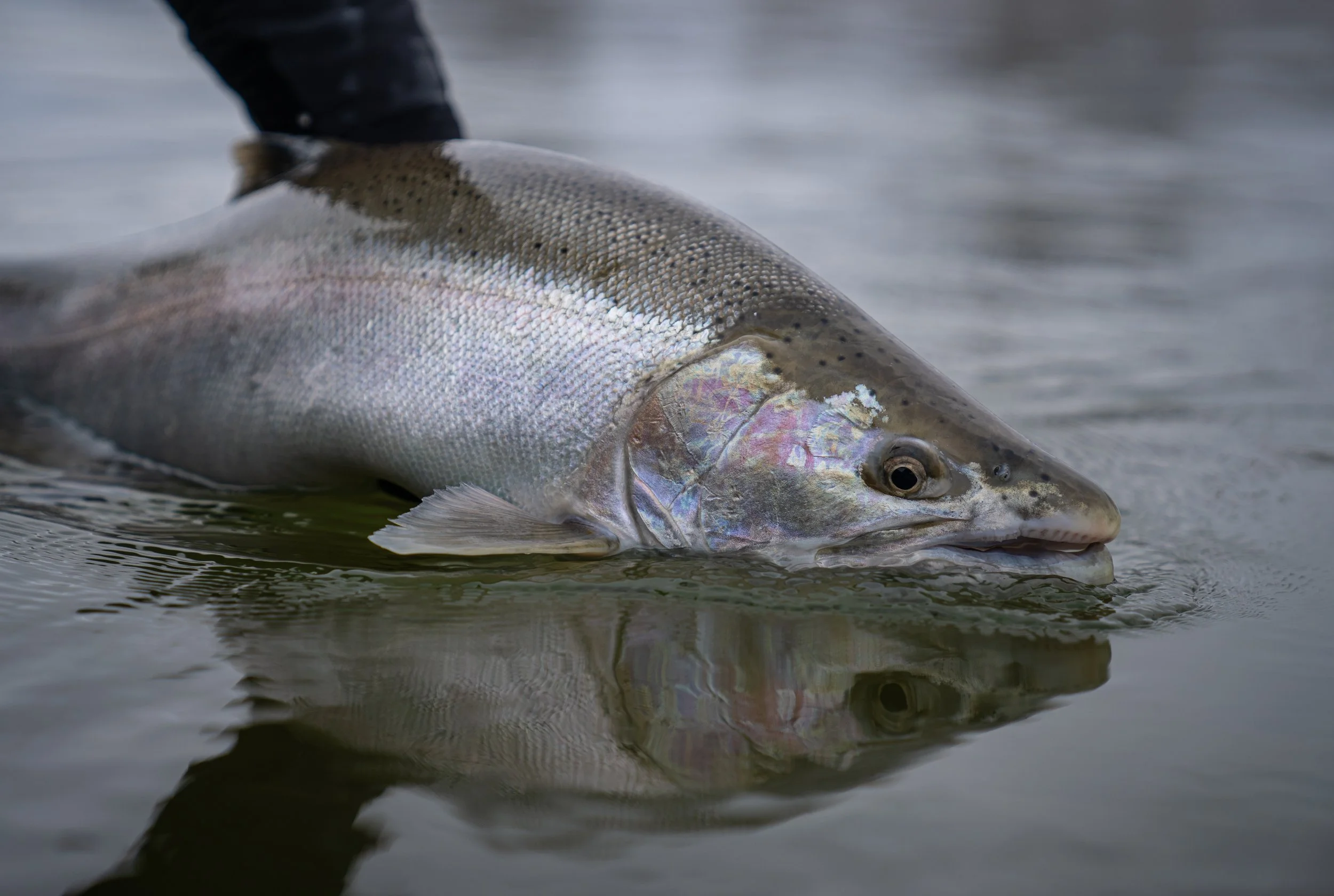 End of the Deep Freeze