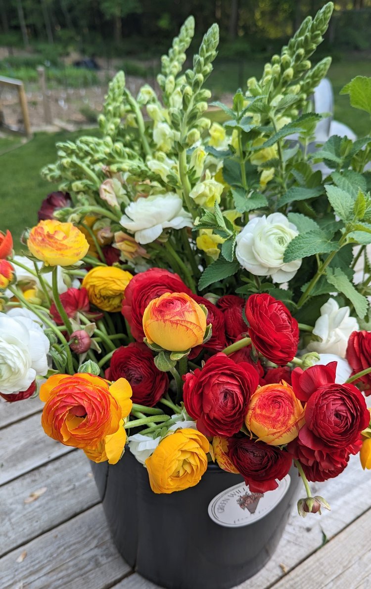 BloomBucket_1.jpeg