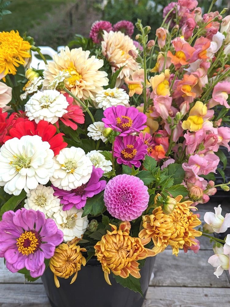 BloomBucket_2.jpeg