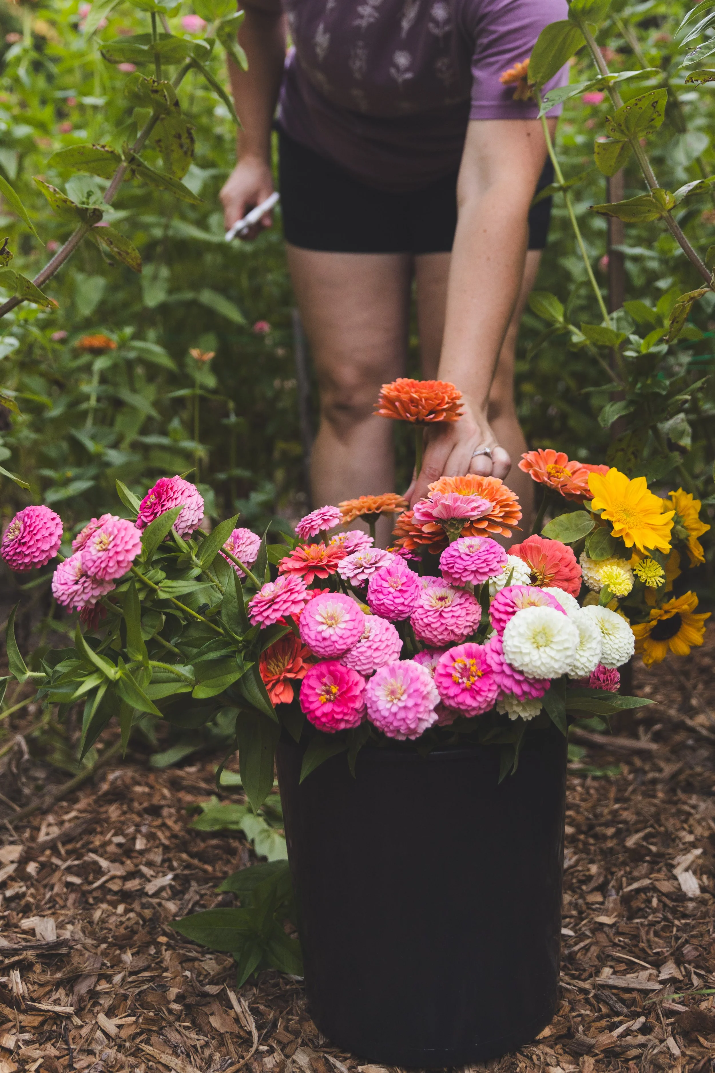 Why Local Flowers Matter
