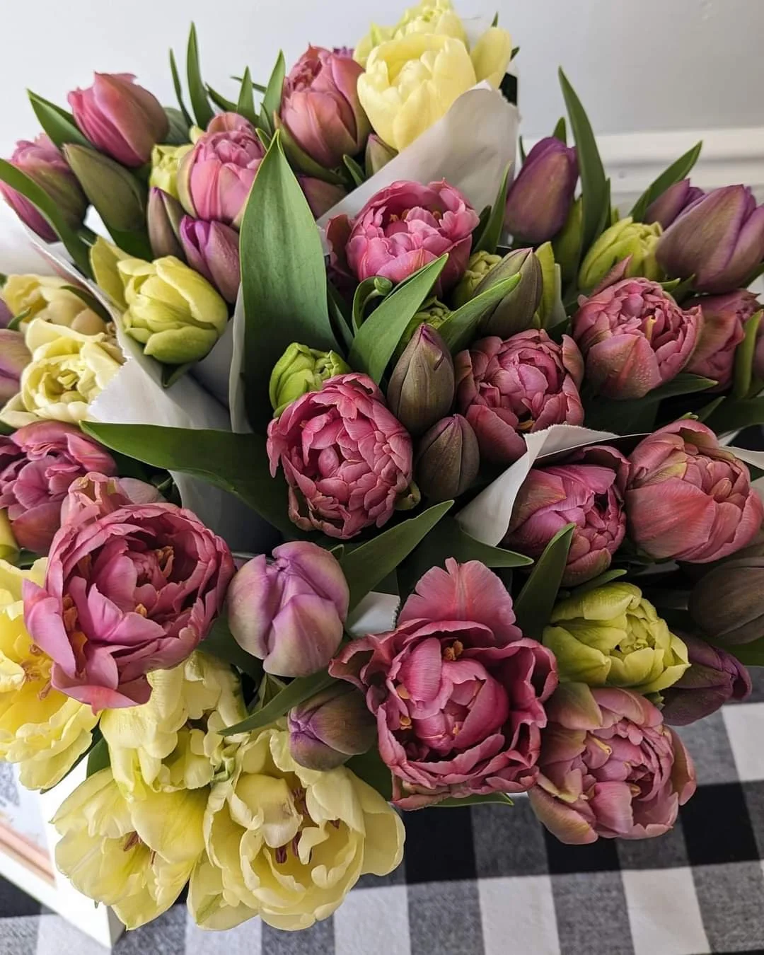 How to Care for Cut Tulips: Tips from Green Willow Gardens